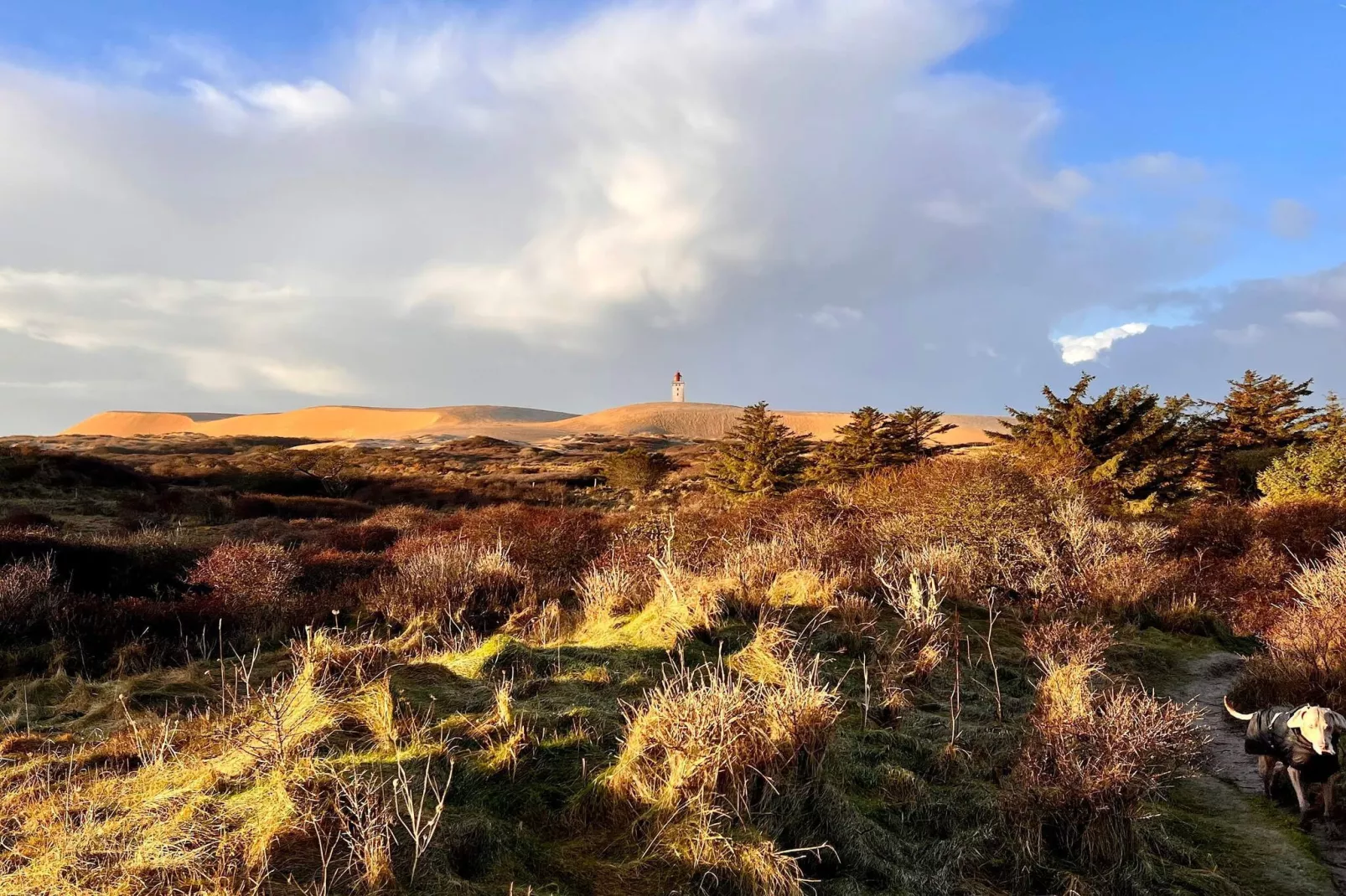 6 persoons vakantie huis in Løkken-By Traum