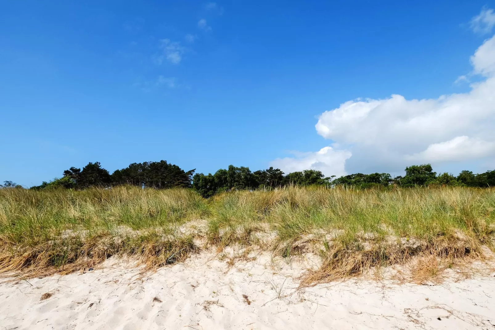 10 persoons vakantie huis in Væggerløse-By Traum