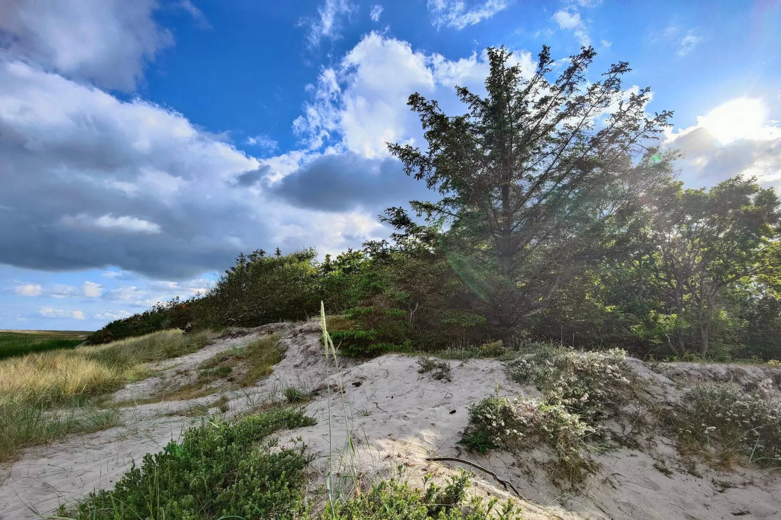 4 persoons vakantie huis in Hals-By Traum-Buitenlucht