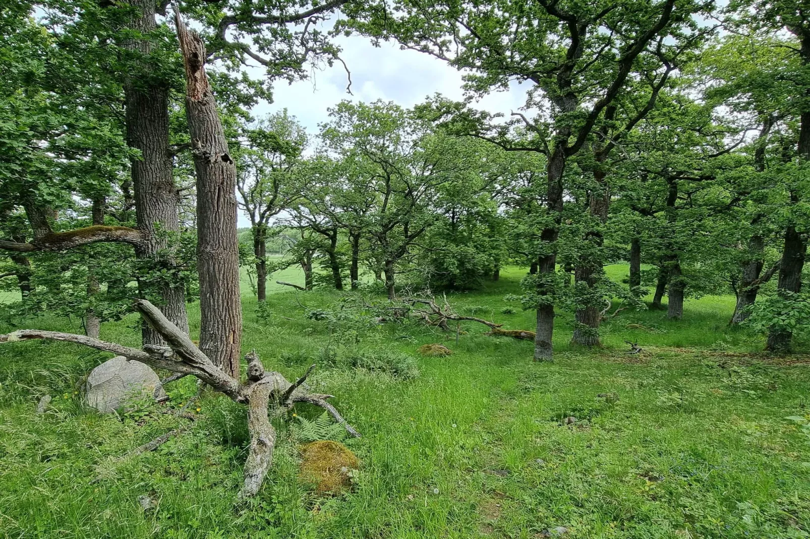 4 persoons vakantie huis in TORSHÄLLA-By Traum-Niet-getagd