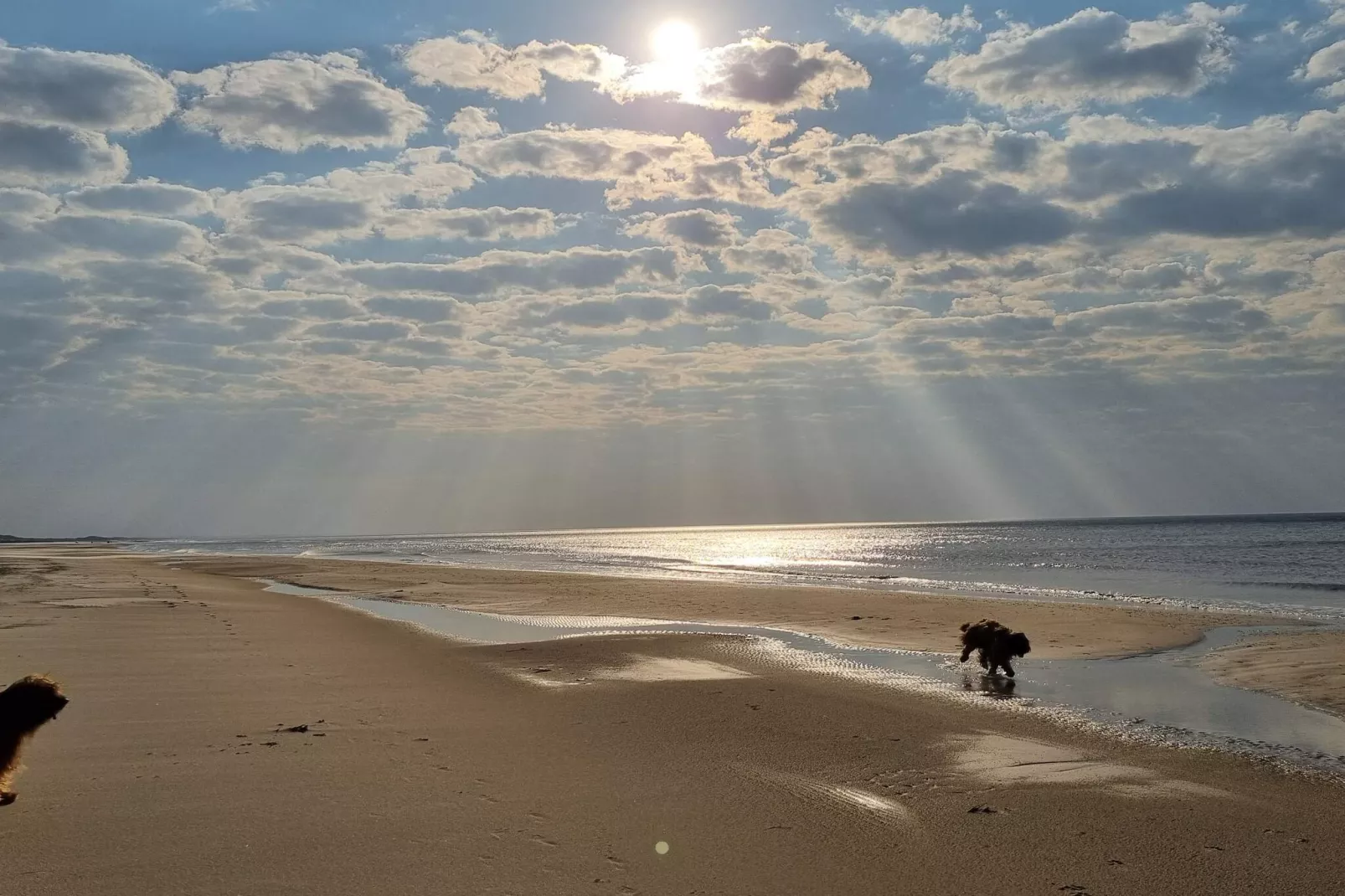 8 persoons vakantie huis in Saltum-By Traum