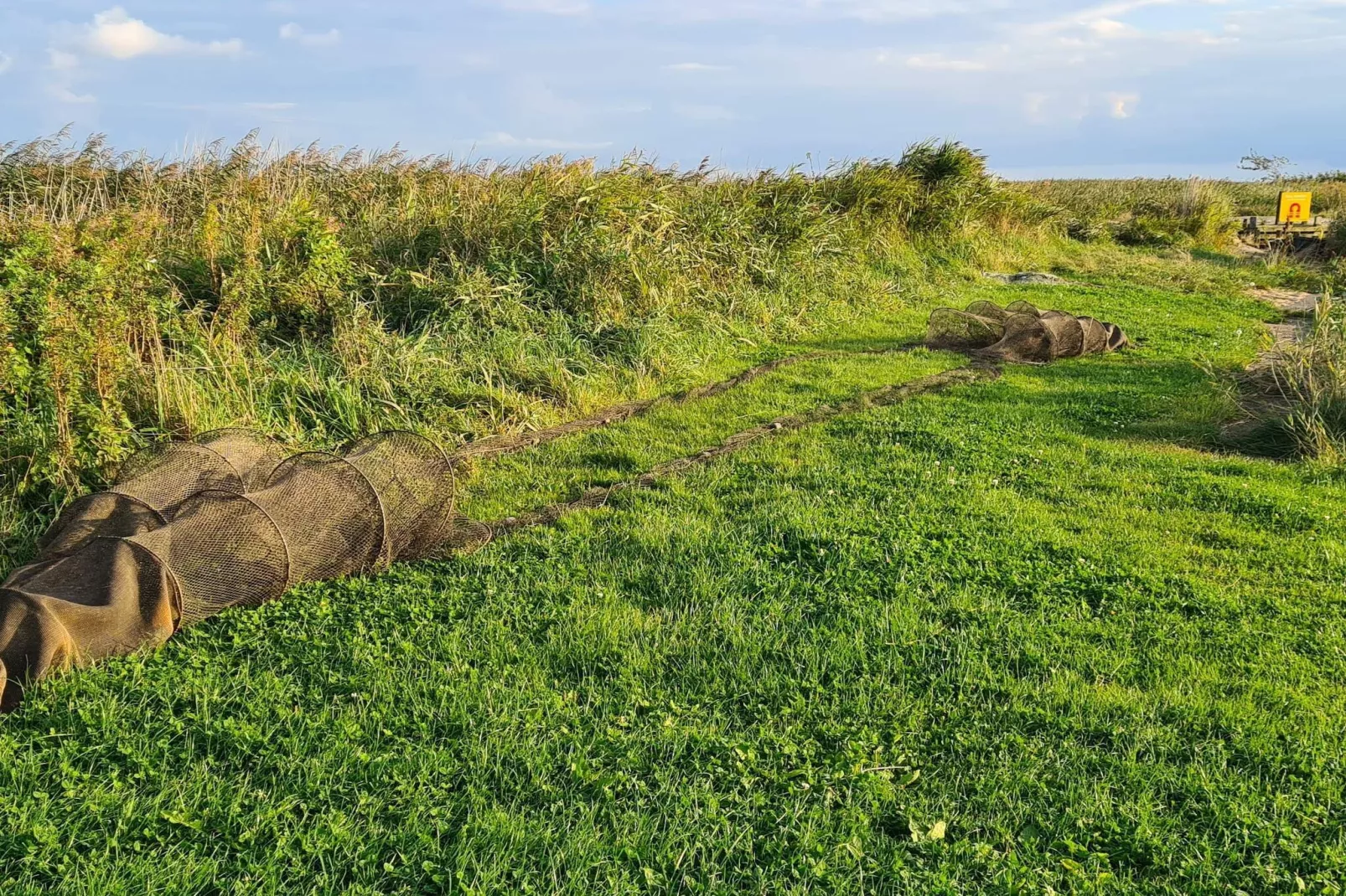 6 persoons vakantie huis in Ulfborg-By Traum-Niet-getagd