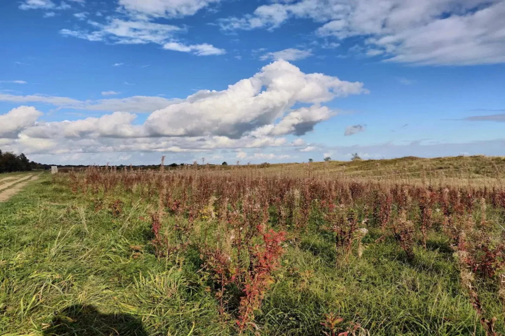 10 persoons vakantie huis in Væggerløse-By Traum-Niet-getagd