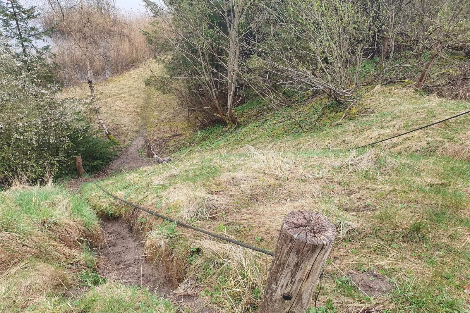 6 persoons vakantie huis in Pandrup