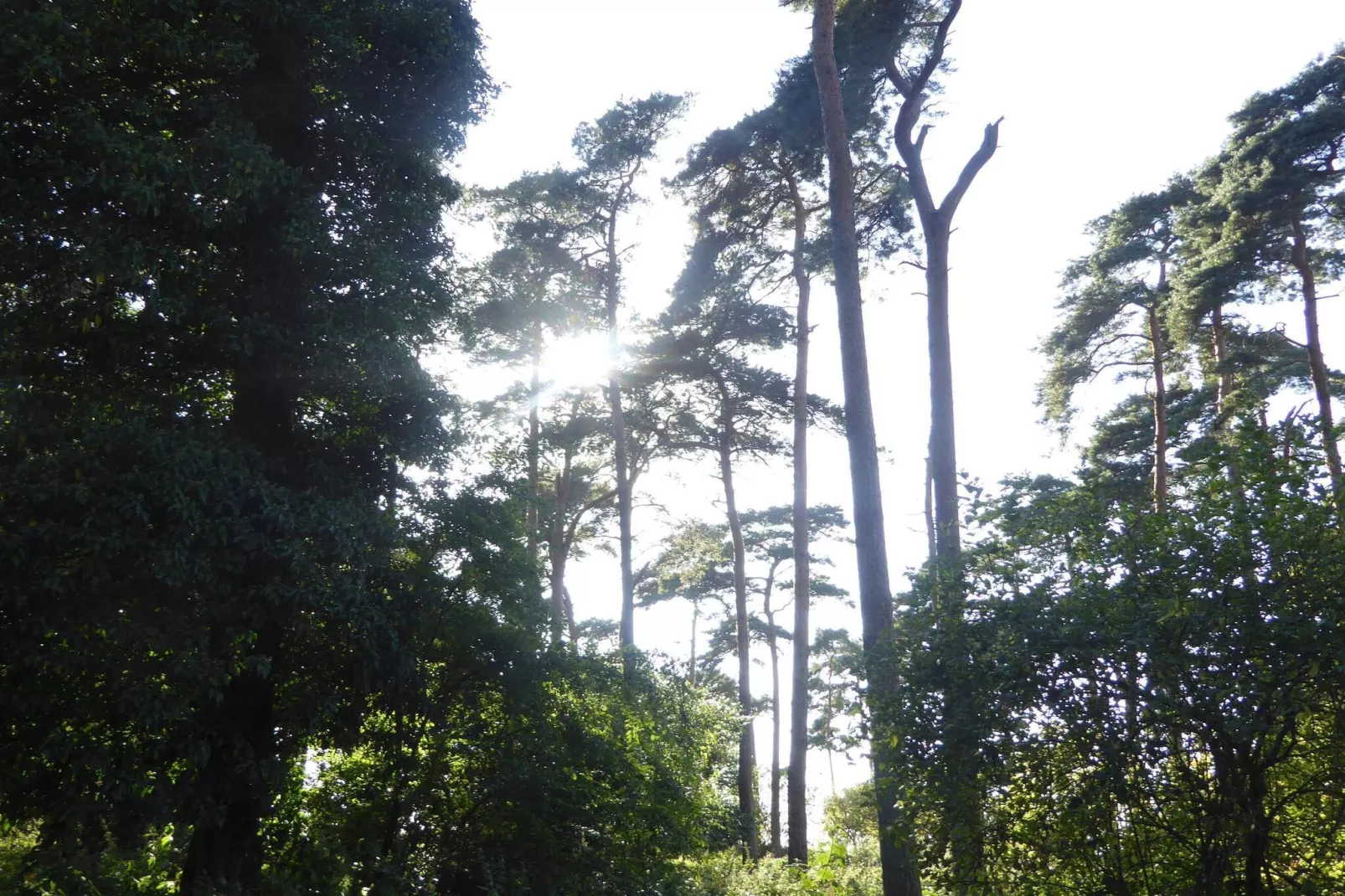 8 persoons vakantie huis in Bogense-By Traum