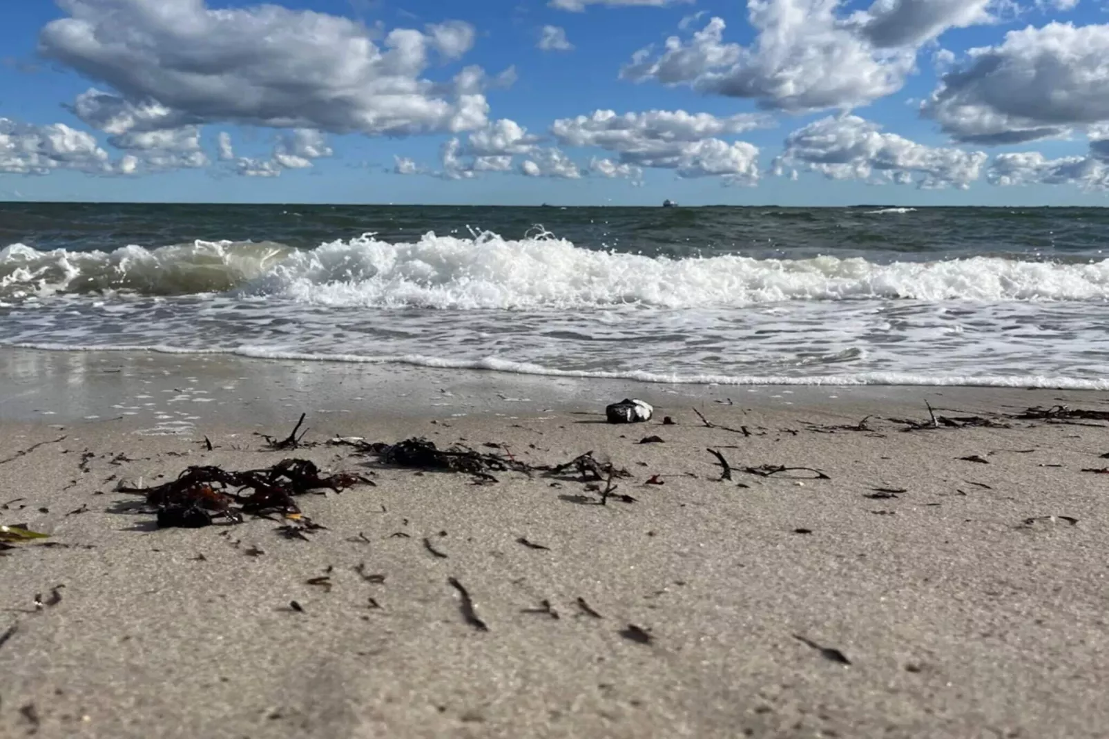 8 persoons vakantie huis in Otterup-By Traum-Waterzicht