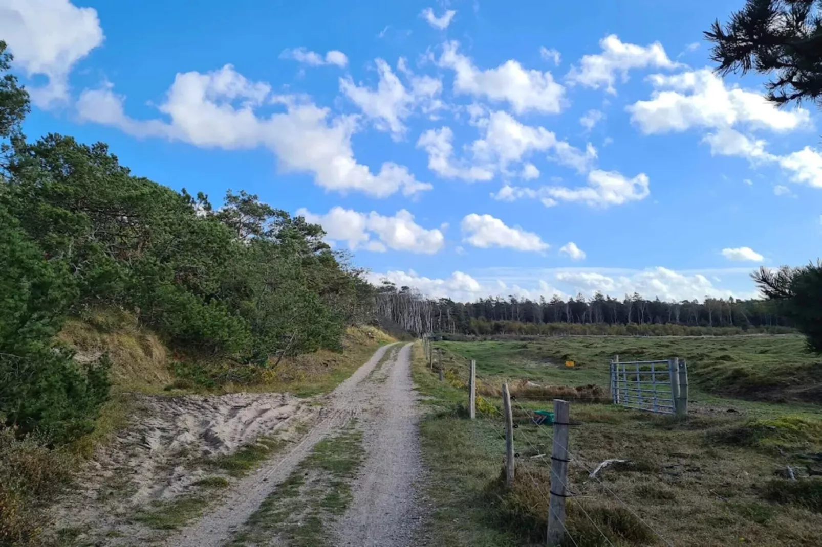 Gezellig vakantiehuis in Asserbo-Niet-getagd