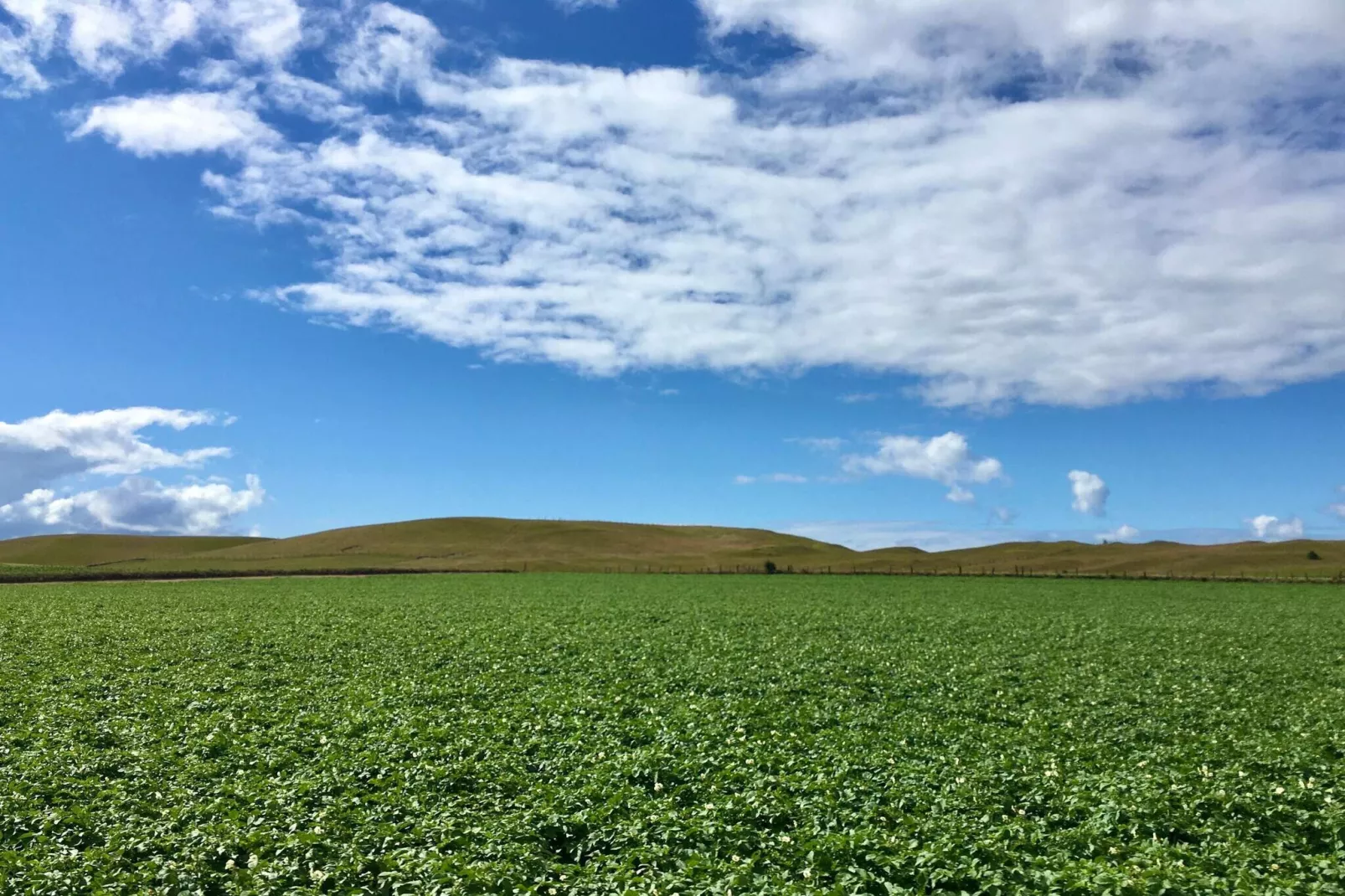 4 persoons vakantie huis in YSTAD-By Traum-Niet-getagd