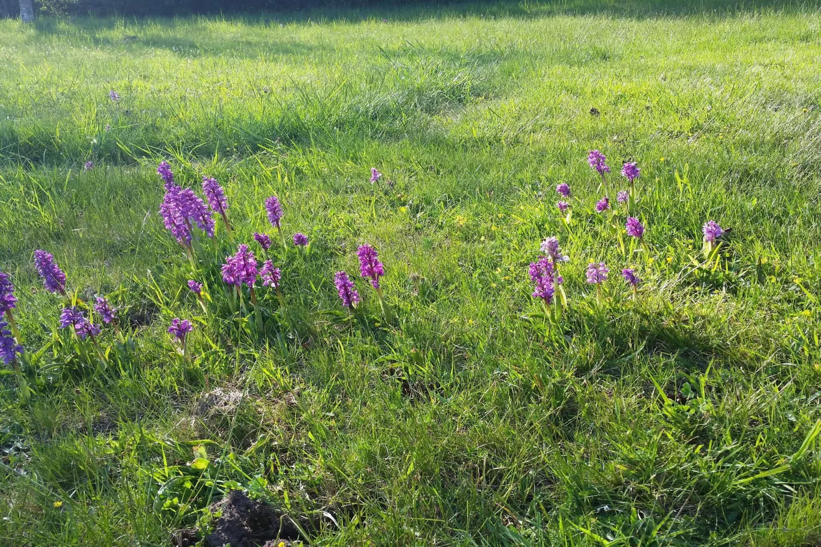 6 persoons vakantie huis in Löttorp-Niet-getagd