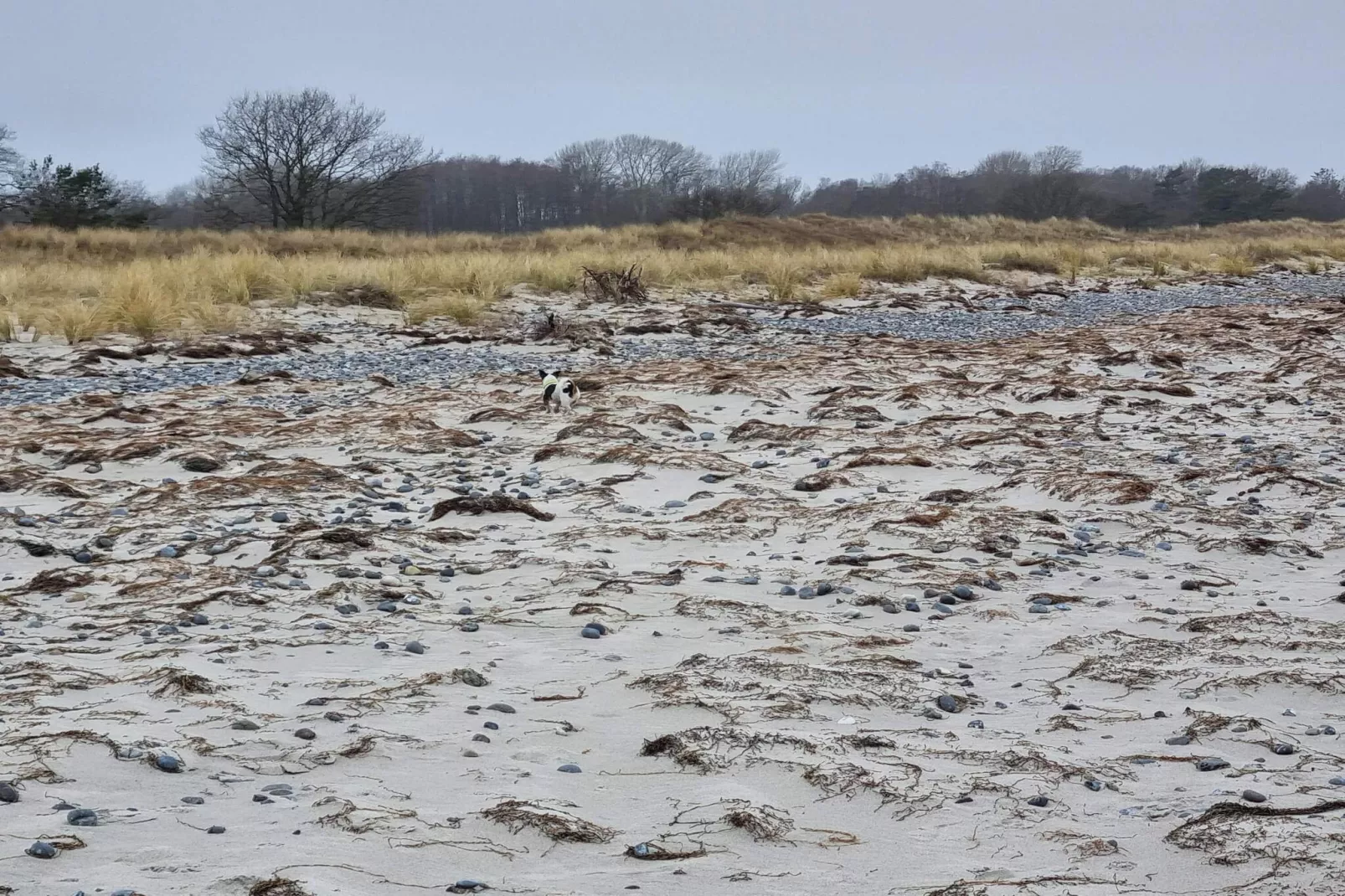 Rustig toevluchtsoord bij Ulvshale -- By Traum Ferienwohnungen-Niet-getagd