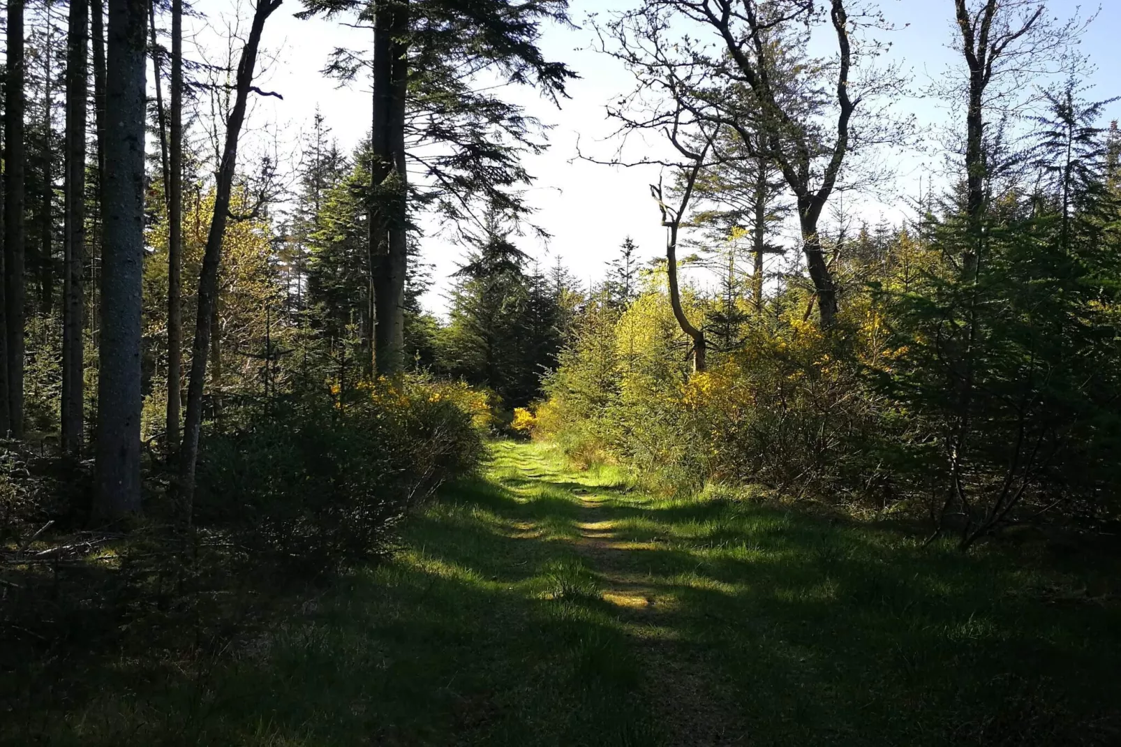 Surfparadijs in Klitmoller -- By Traum Ferienwohnungen-Niet-getagd