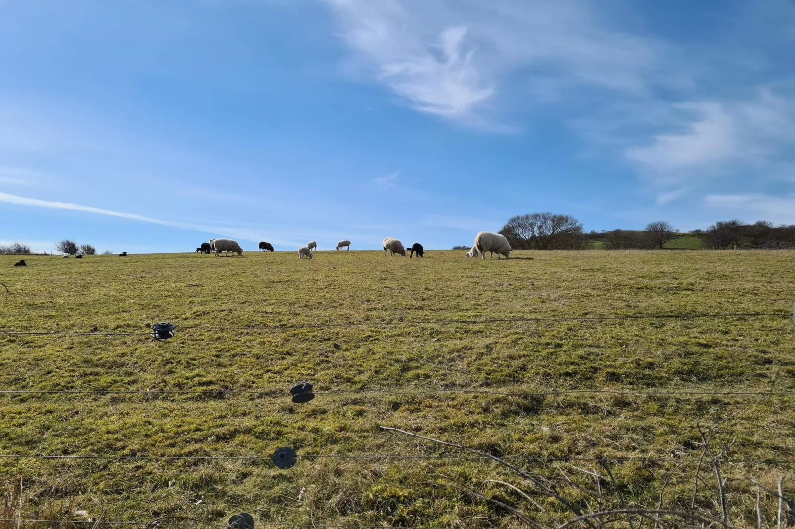 4 persoons vakantie huis in Martofte-By Traum