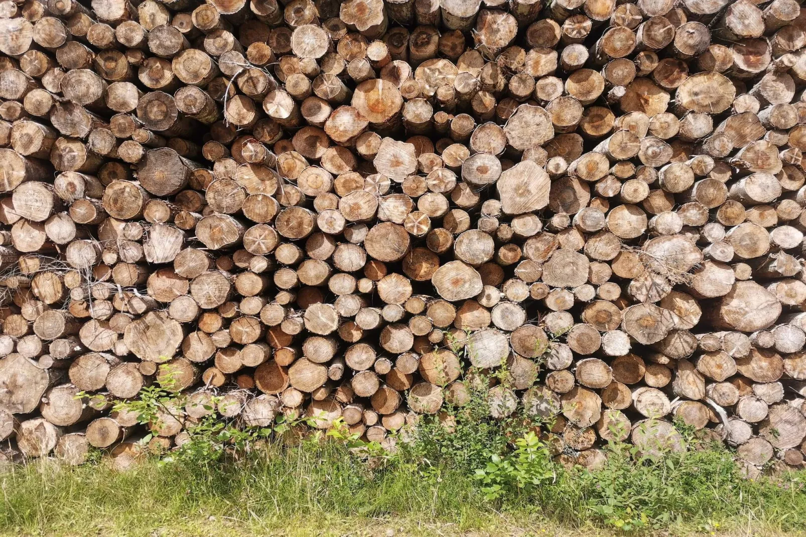 12 persoons vakantie huis in Læsø-By Traum