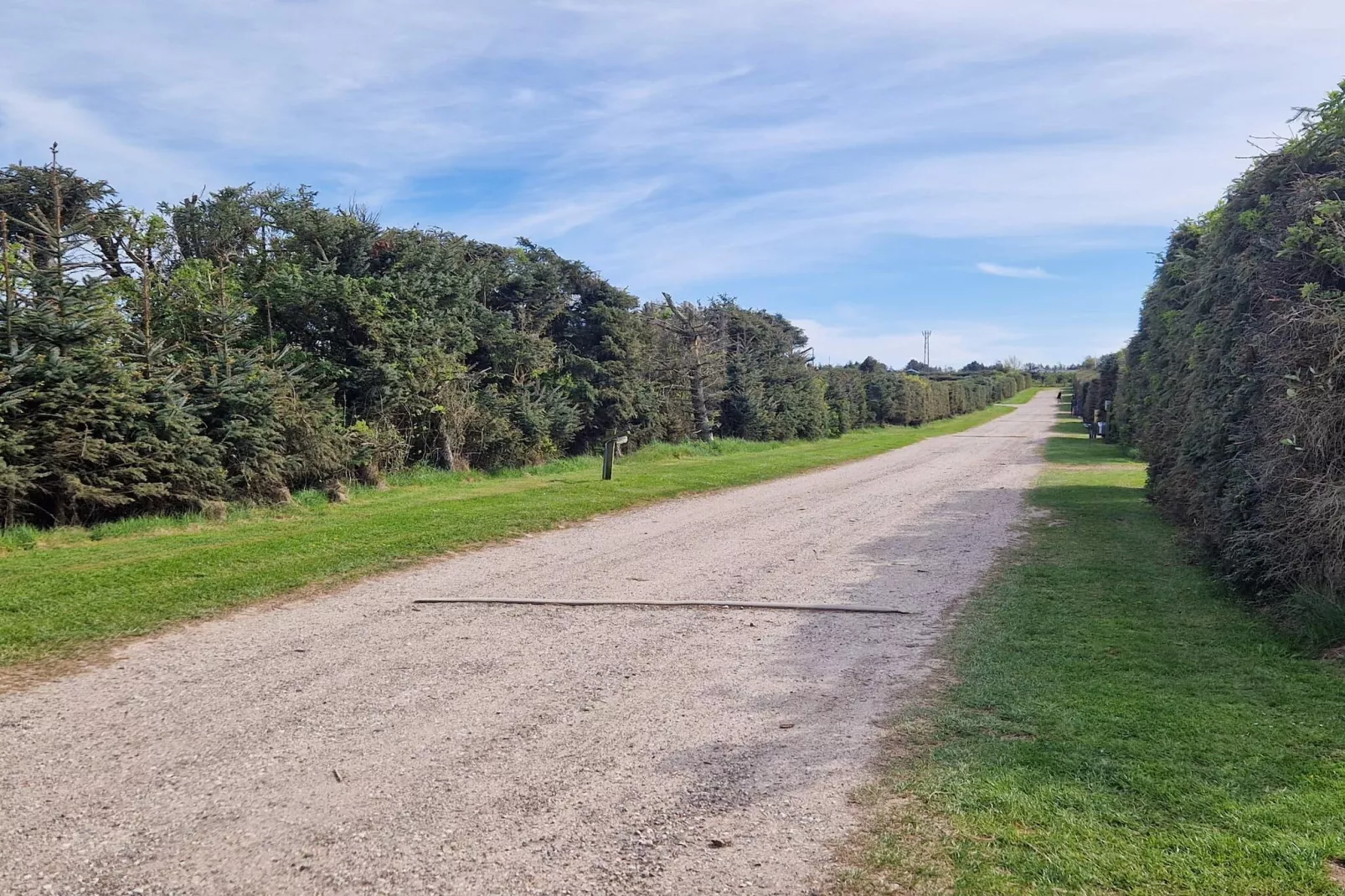 12 persoons vakantie huis in Løkken-By Traum