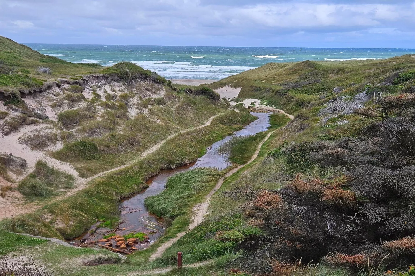 6 persoons vakantie huis in Thisted-By Traum-Niet-getagd