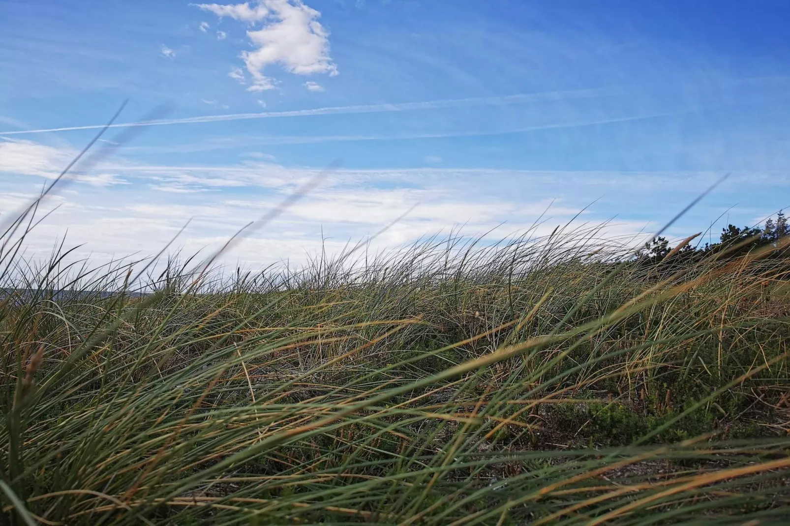 Rustig toevluchtsoord bij strand -- By Traum Ferienwohnungen