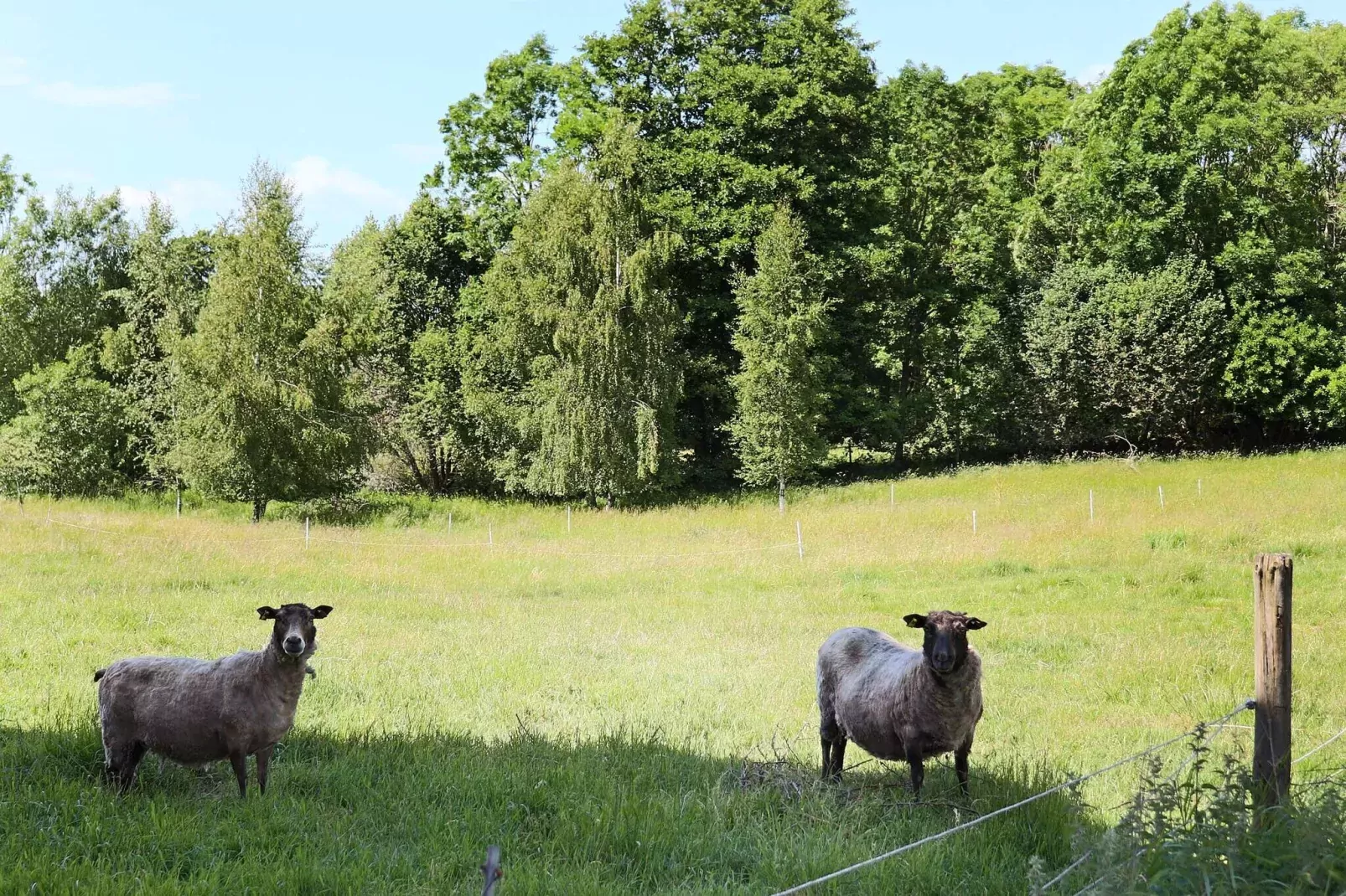 4 persoons vakantie huis in ROLFSTORP-Niet-getagd