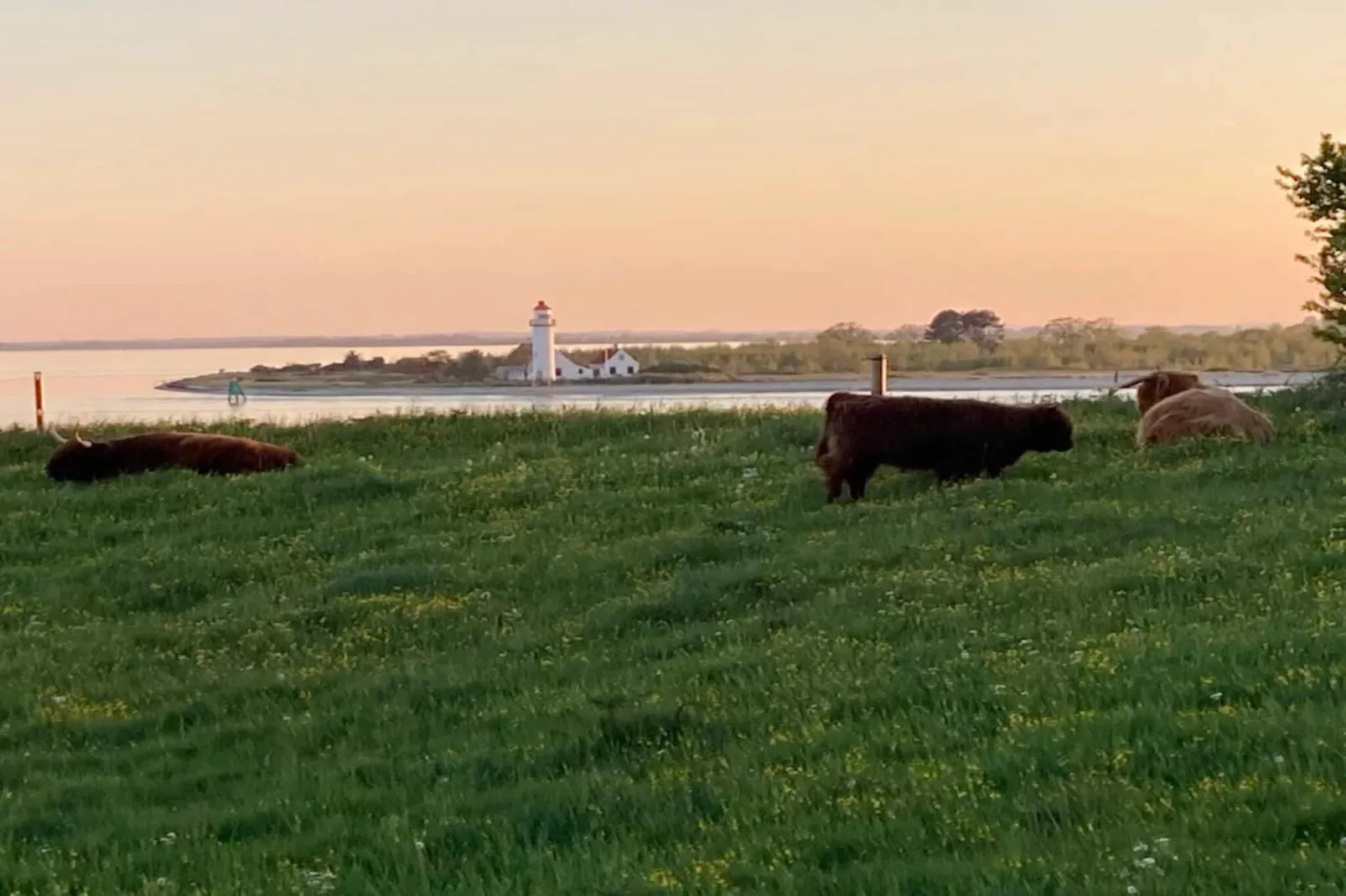 Kust ontsnapping in Hindsholm -- By Traum Ferienwohnungen-Waterzicht