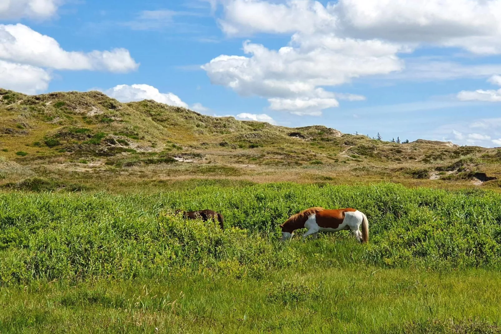 Afgelegen toevluchtsoord in de natuur -- By Traum Ferienwohnungen-Niet-getagd