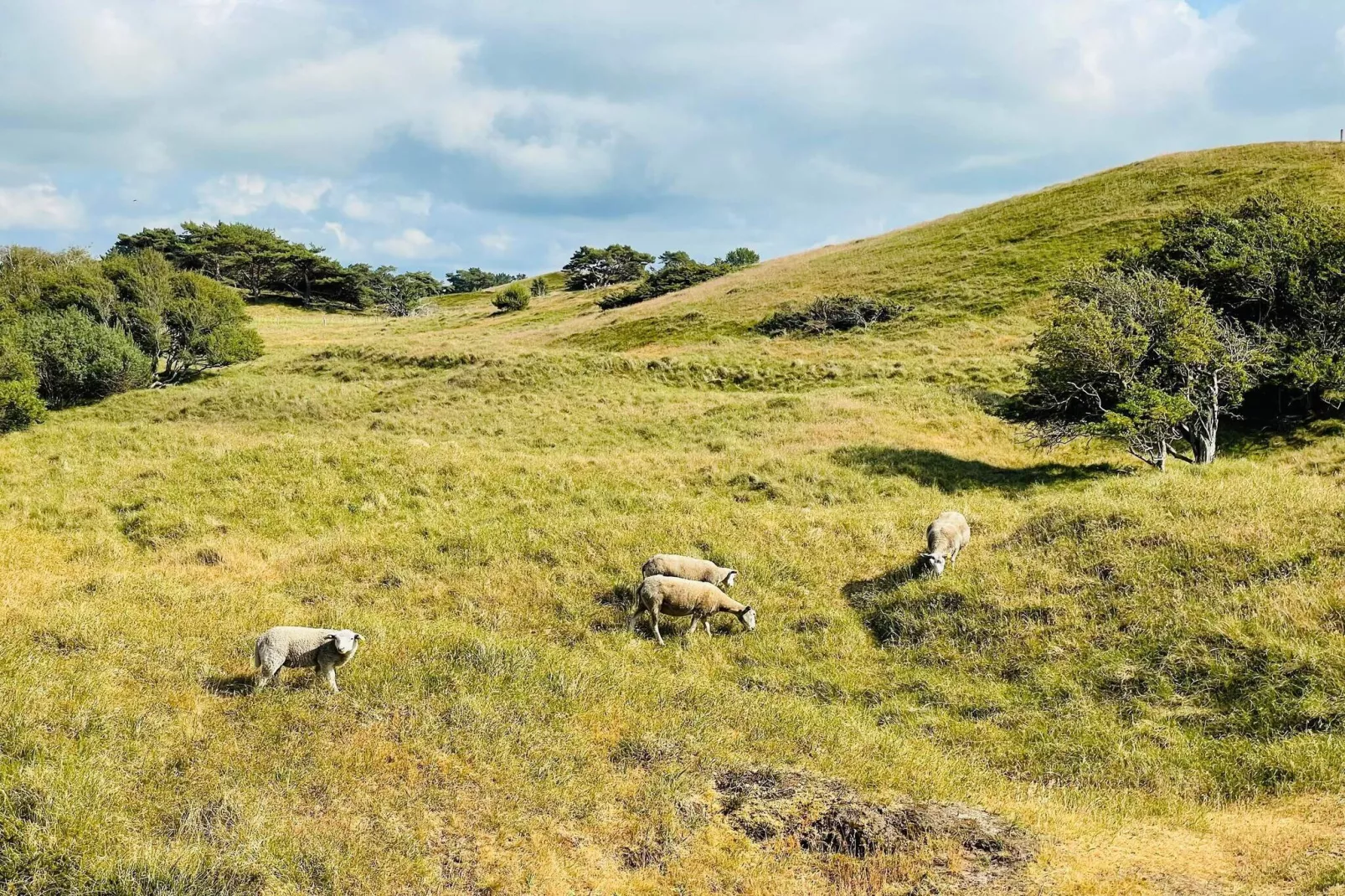 Luxe retraite met zwembad -- By Traum Ferienwohnungen