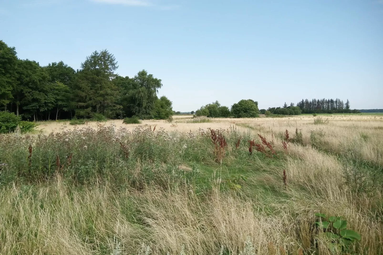 5 persoons vakantie huis in Storvorde-By Traum-Niet-getagd