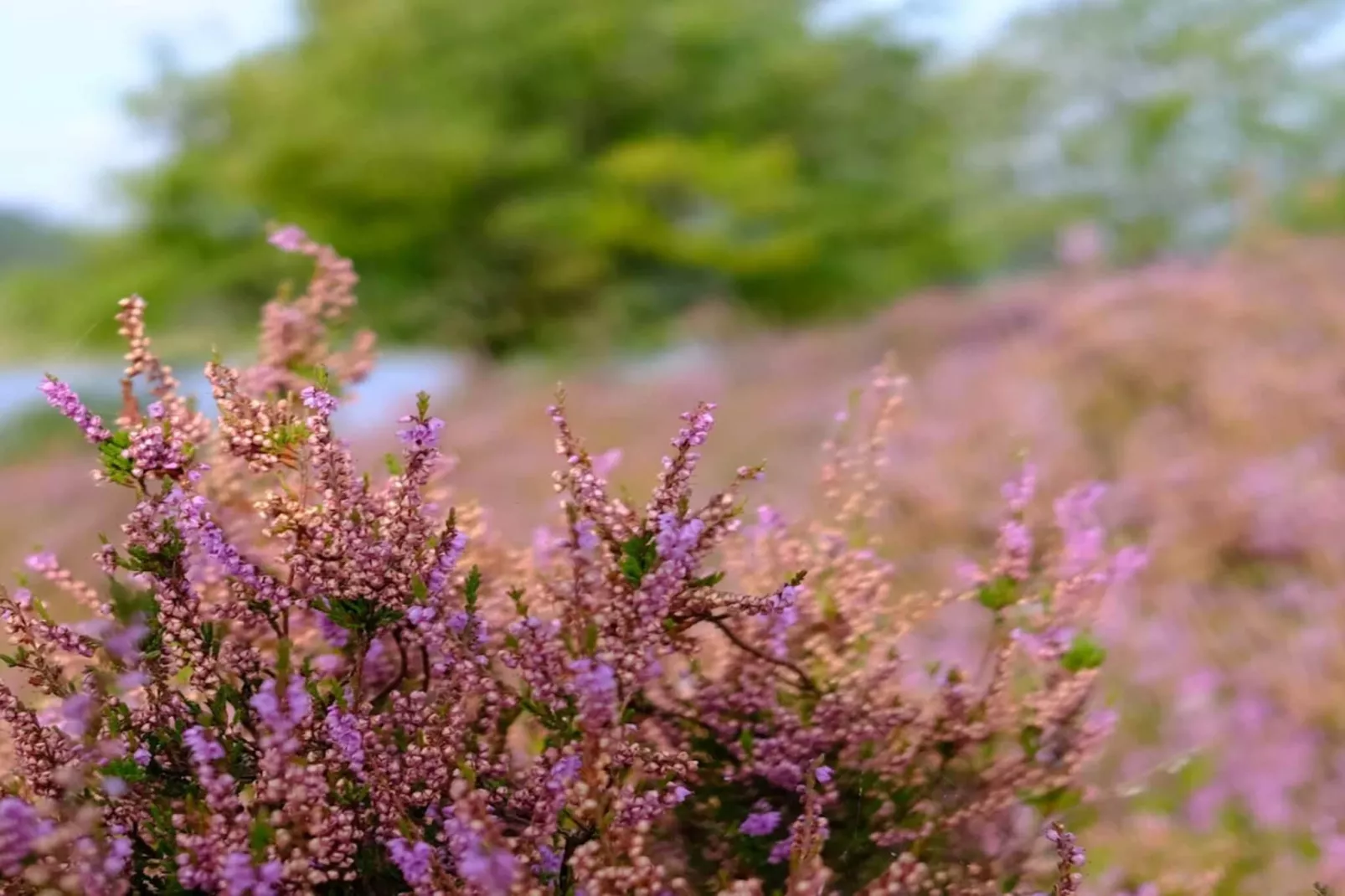 6 persoons vakantie huis in Silkeborg-By Traum