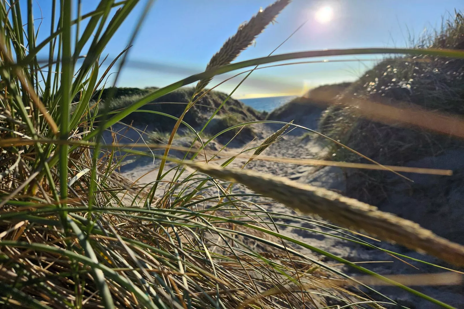 Gezellig duinverblijf nabij zee -- By Traum Ferienwohnungen-Niet-getagd