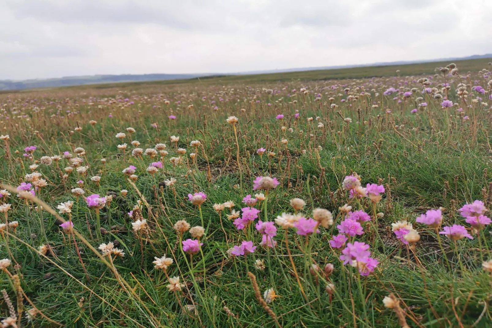 4 persoons vakantie huis in Lemvig-By Traum-Niet-getagd