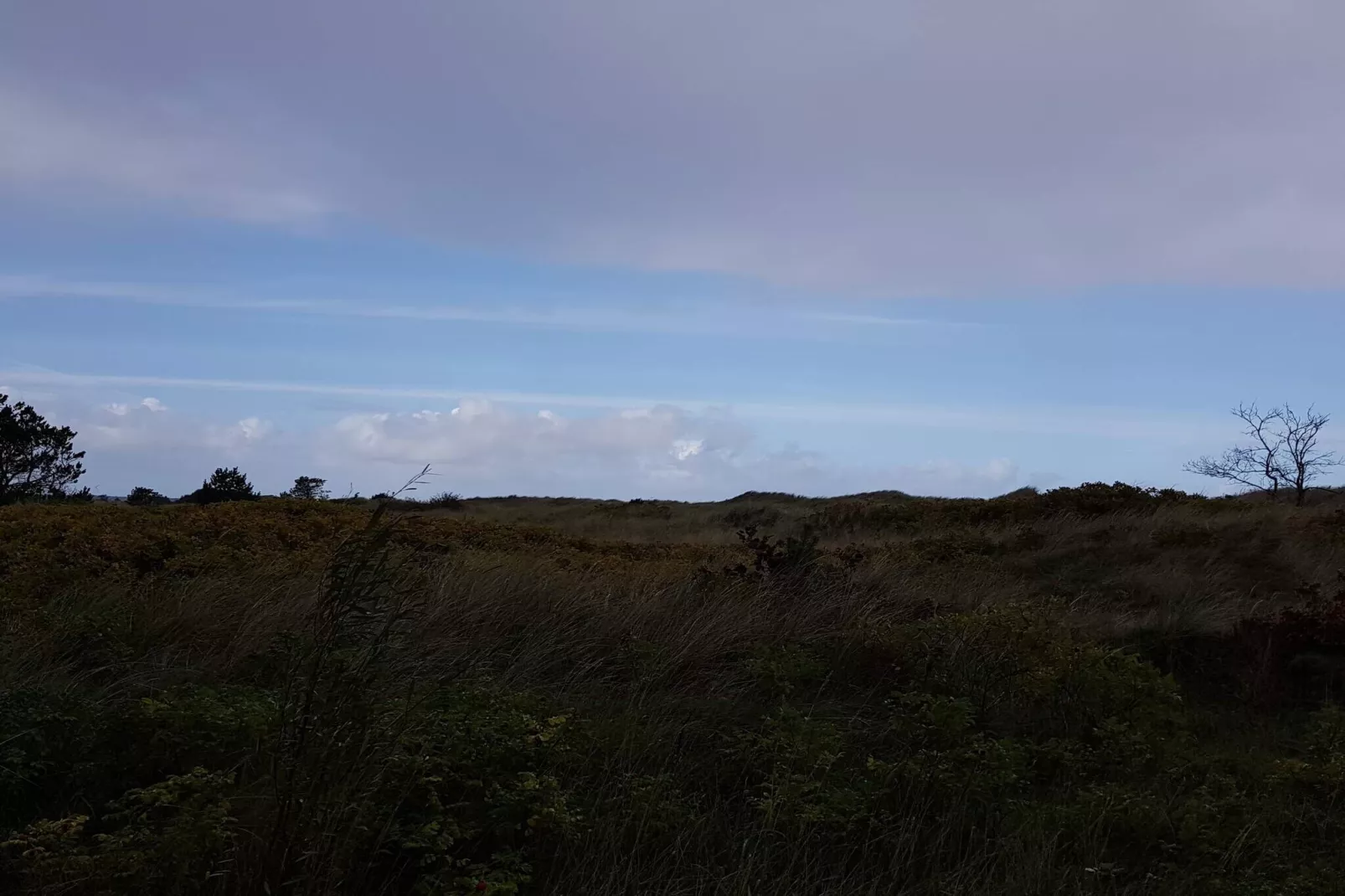 8 persoons vakantie huis in Jerup