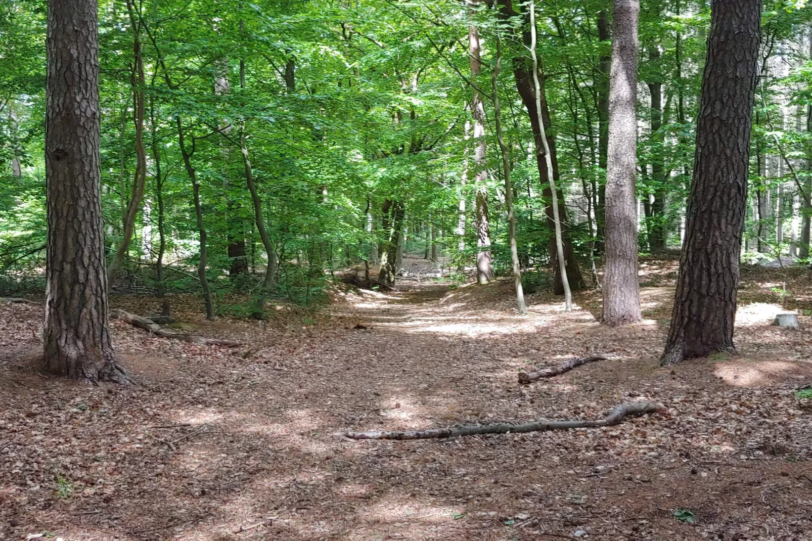 4 persoons vakantie huis in Oksbøl-By Traum