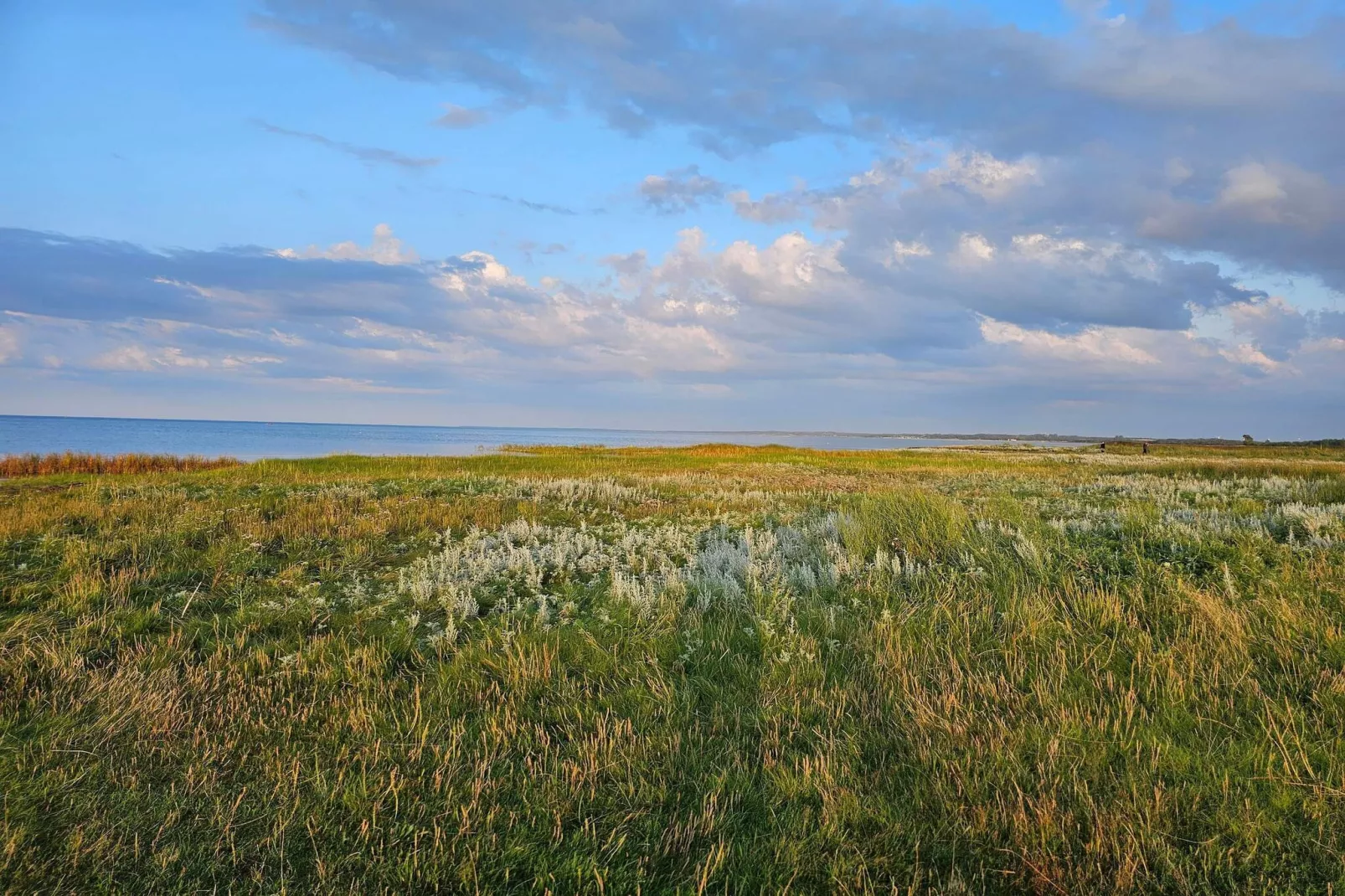 8 persoons vakantie huis in Ørsted-By Traum