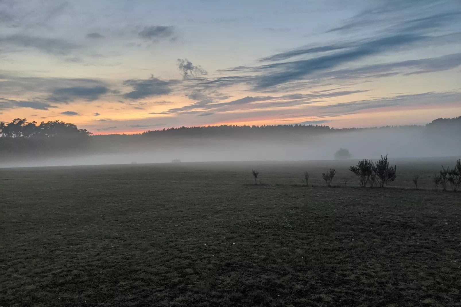 Doppelhaushälfte Typ V 80 qm-Gebieden zomer 1km