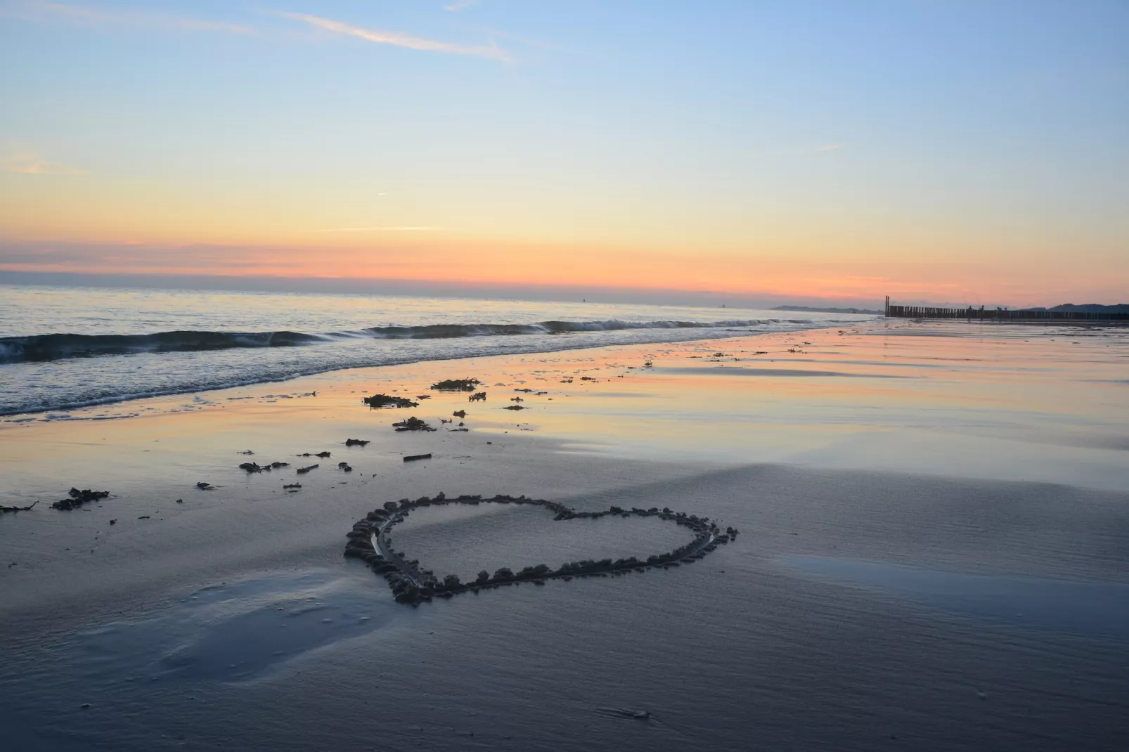 Appartement Duinhof Dishoek 13M - 6 personen de luxe-Gebieden zomer 1km