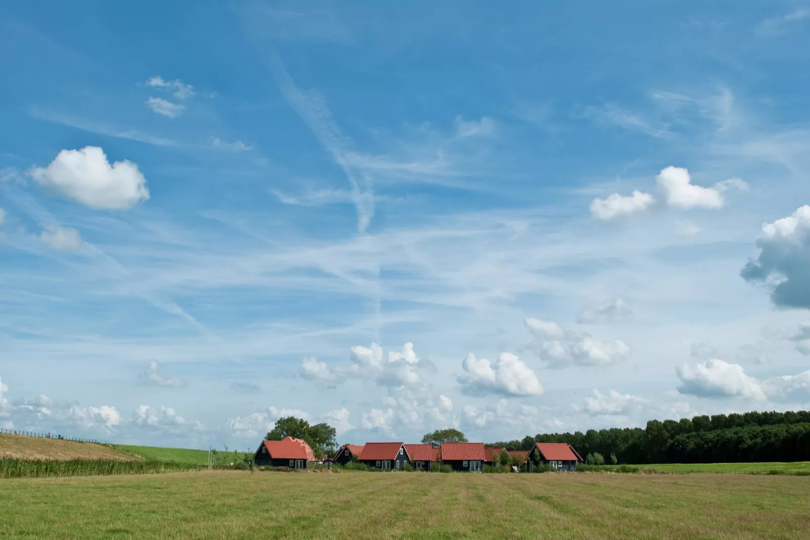 Recreatiepark de Stelhoeve 2-Gebieden zomer 1km