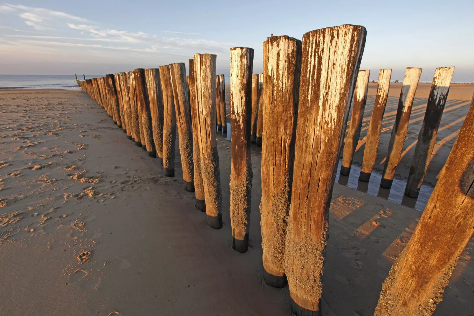 Appartement Duinhof Dishoek 13K - 6 personen de luxe-Gebieden zomer 1km
