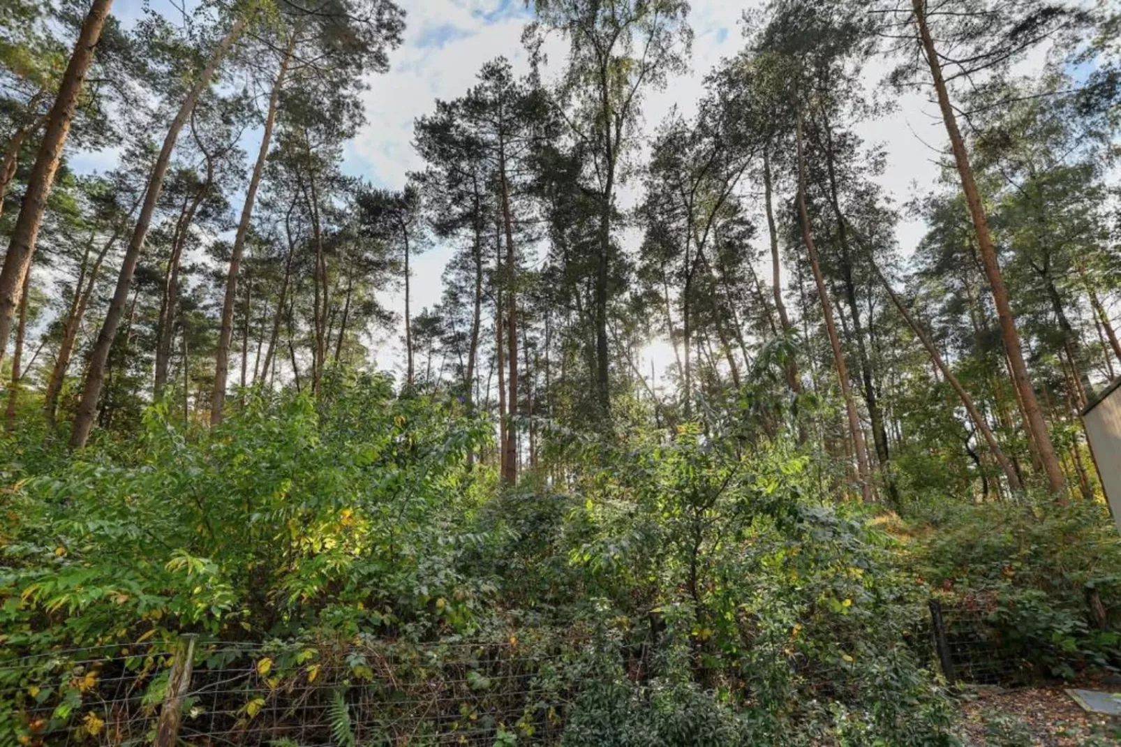 Bospark Markelo 1-Gebieden zomer 20km