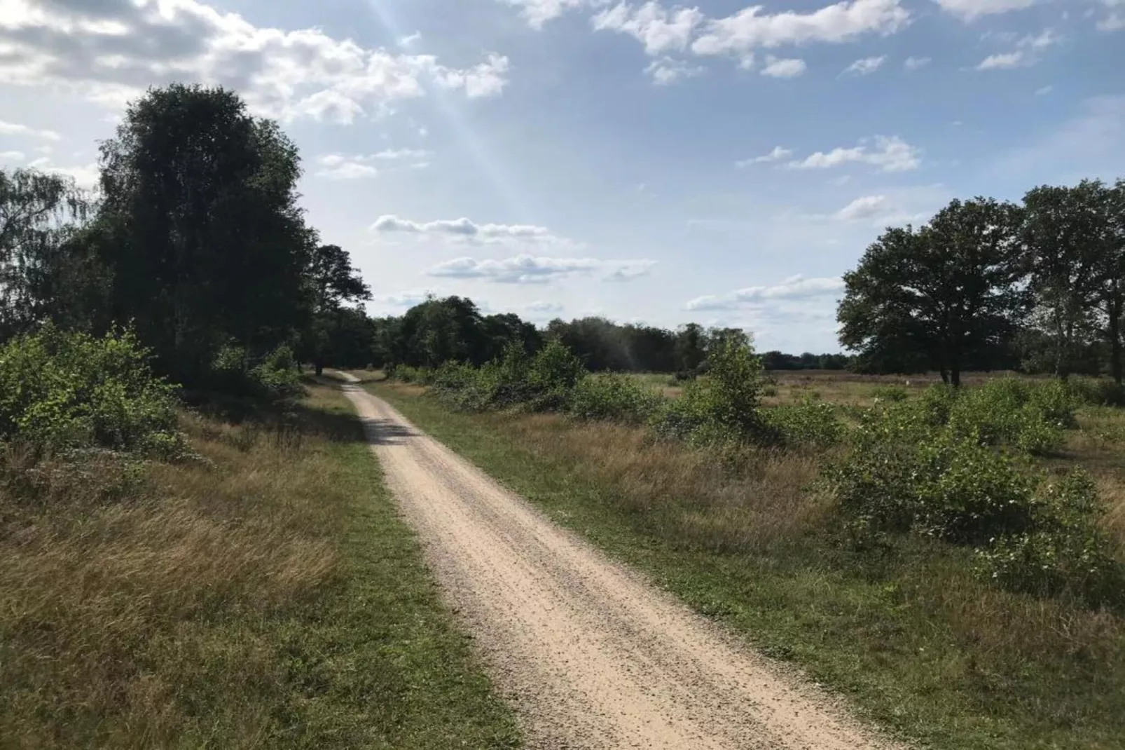 Bospark Markelo 4-Gebieden zomer 20km