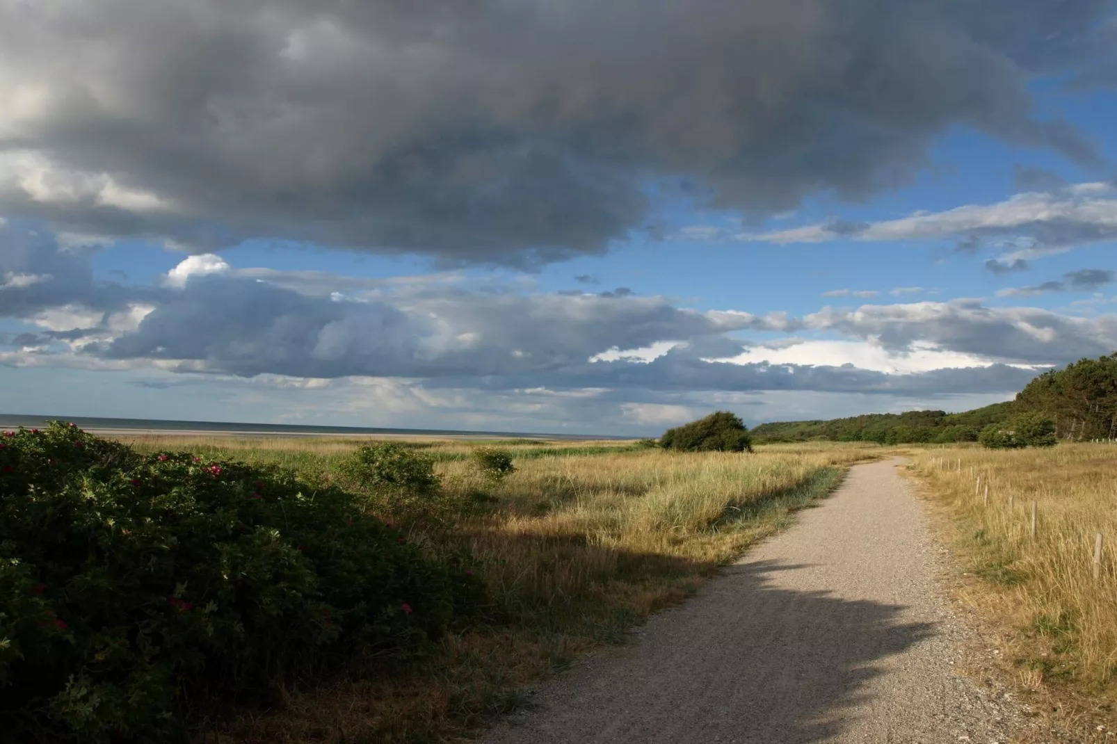 Zonnig toevluchtsoord in Bonnerup Haven-By Traum