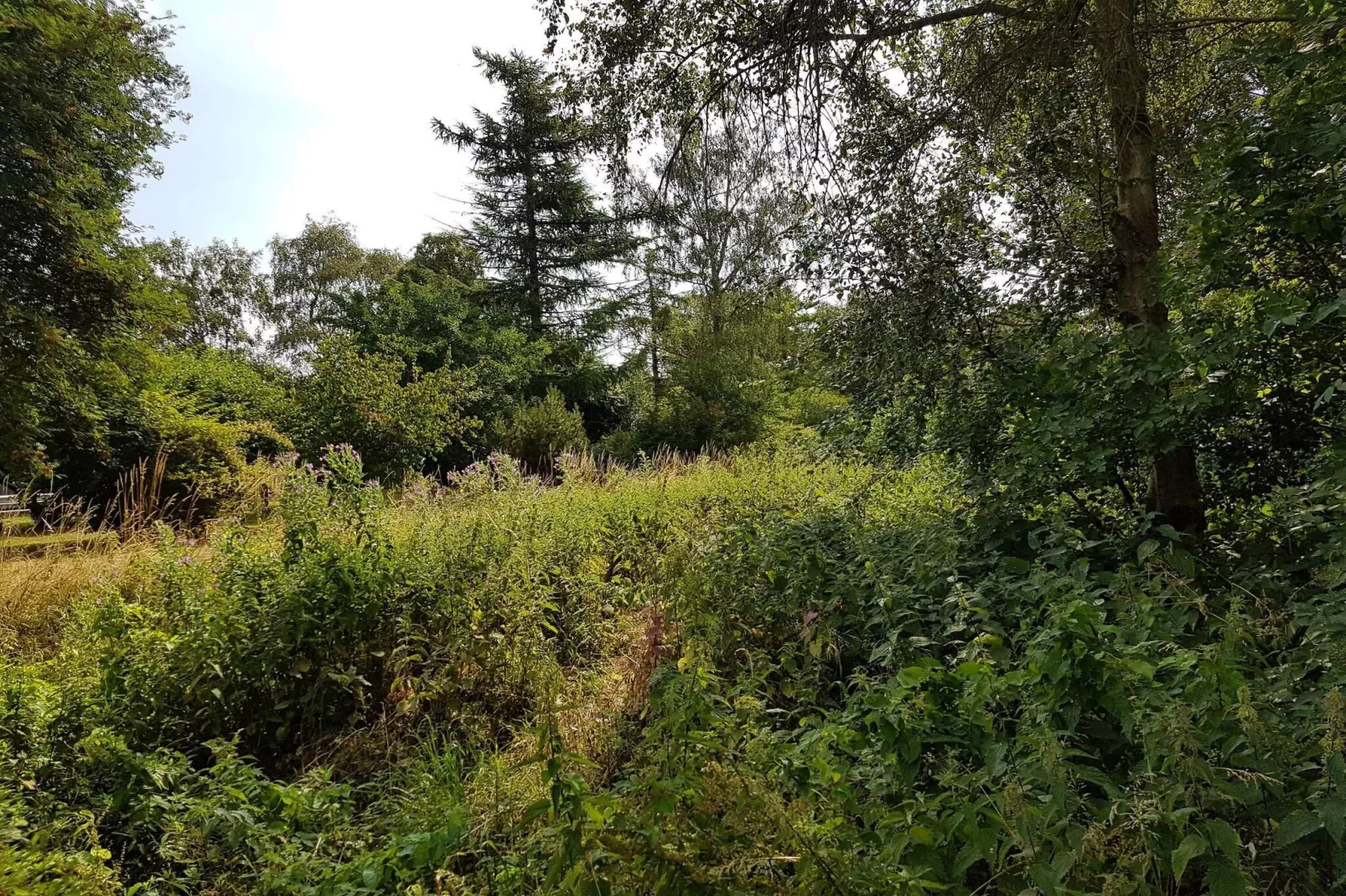 6 persoons vakantie huis in Stege