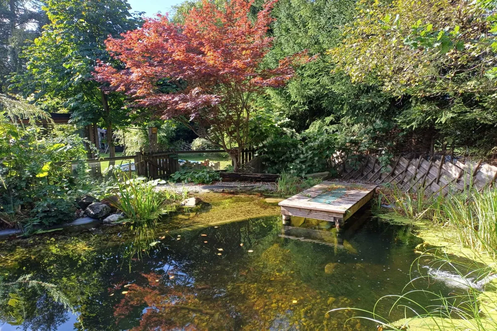 Ferienhaus-Tuinen zomer