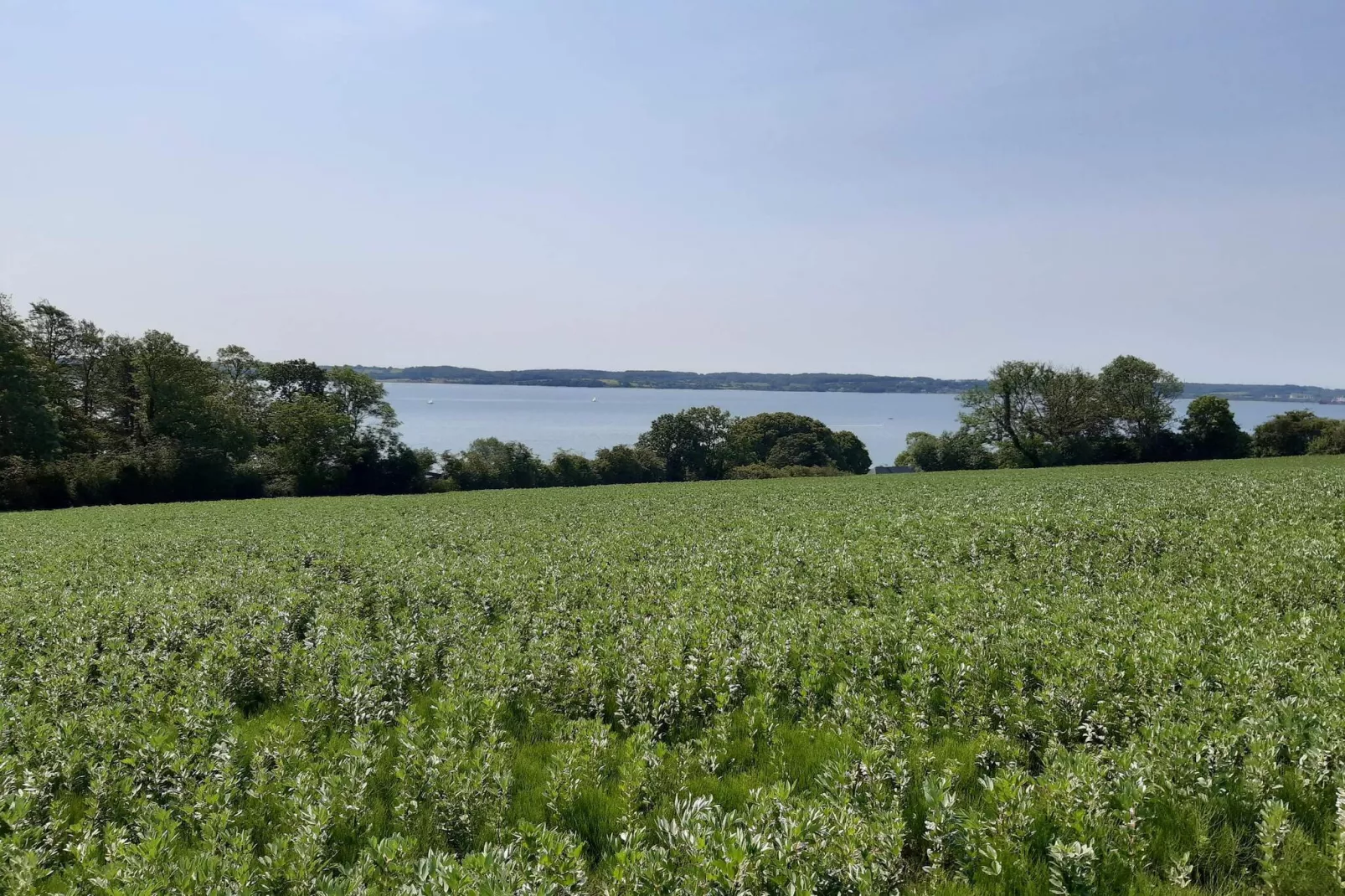 4 persoons vakantie huis in Aabenraa-By Traum