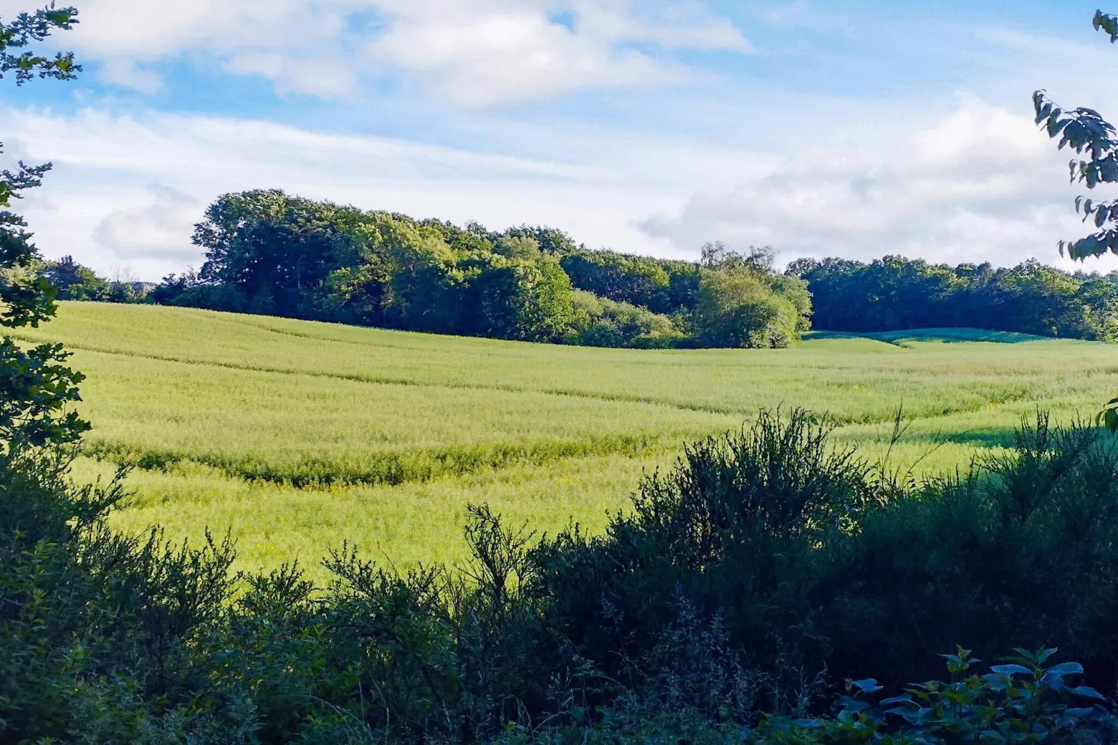 4 persoons vakantie huis in Aars-By Traum-Niet-getagd