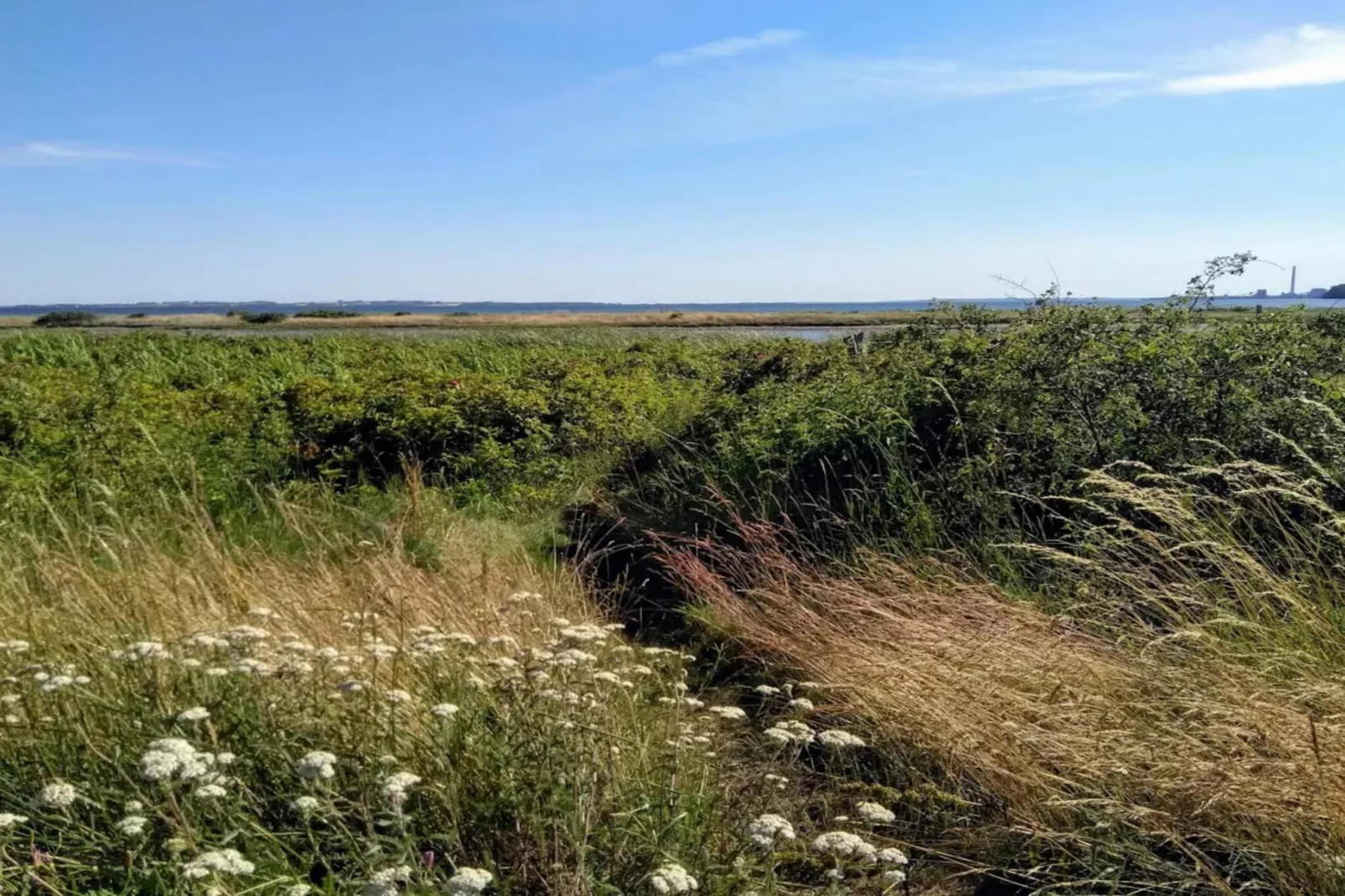 6 persoons vakantie huis in Rønde-By Traum