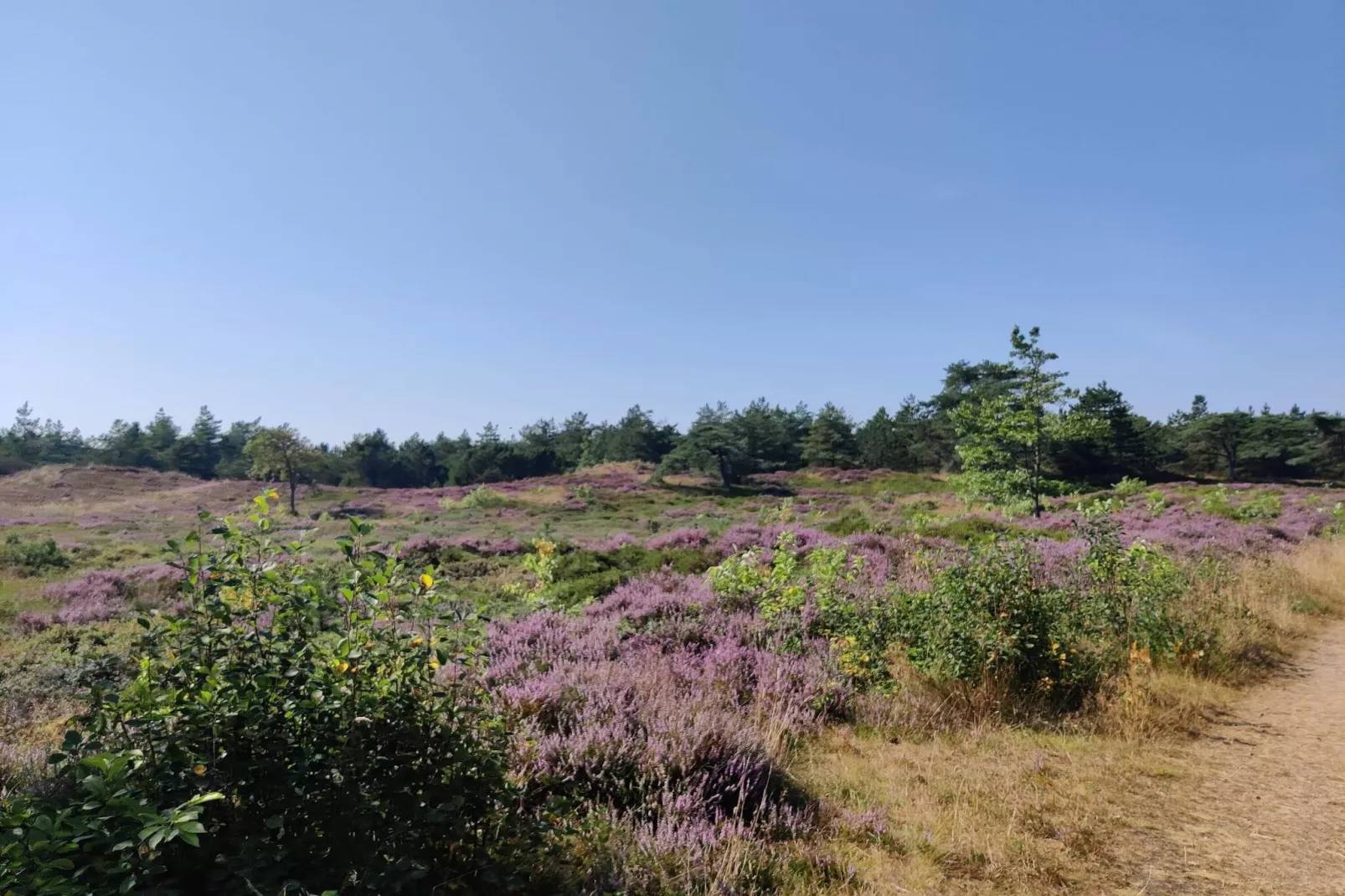 Luxe retraite in Romo -- By Traum Ferienwohnungen