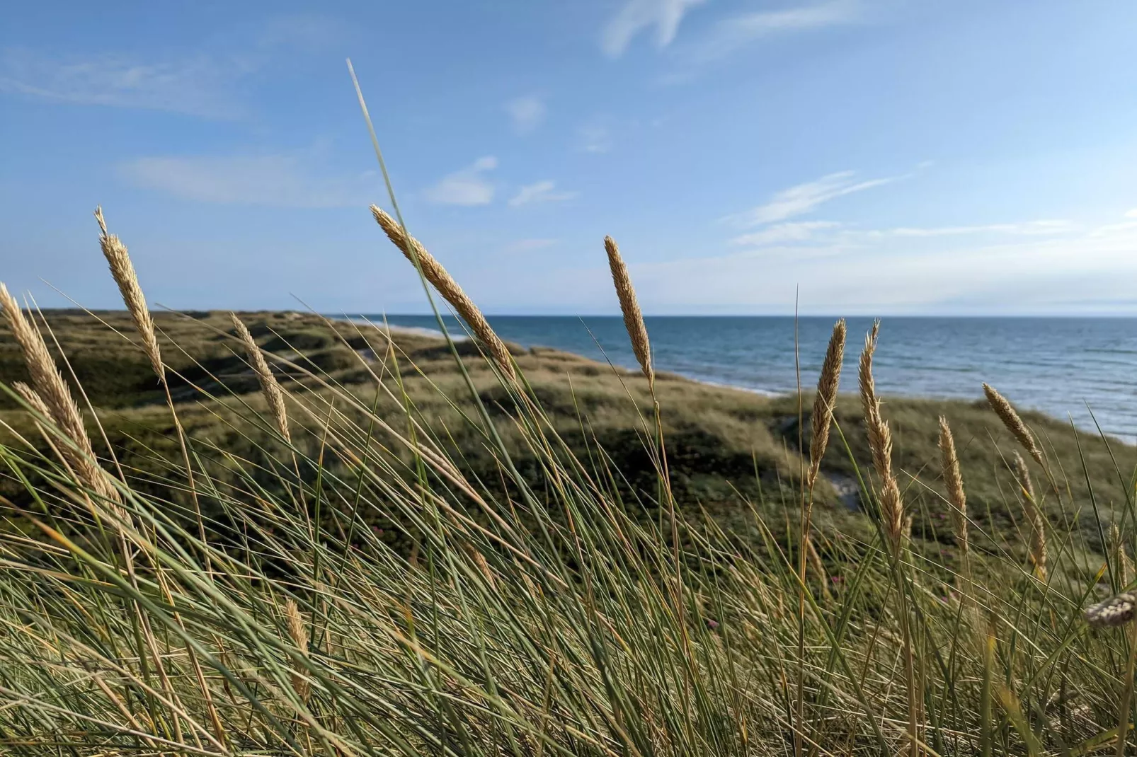 6 persoons vakantie huis in Ulfborg