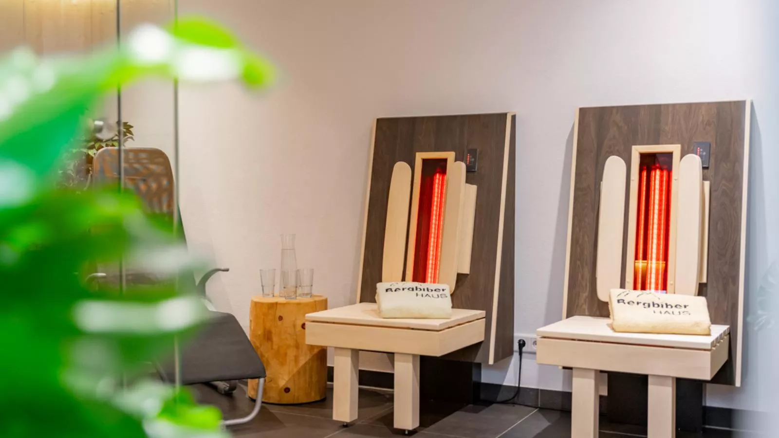 BergbiberHAUS Top B-Sauna