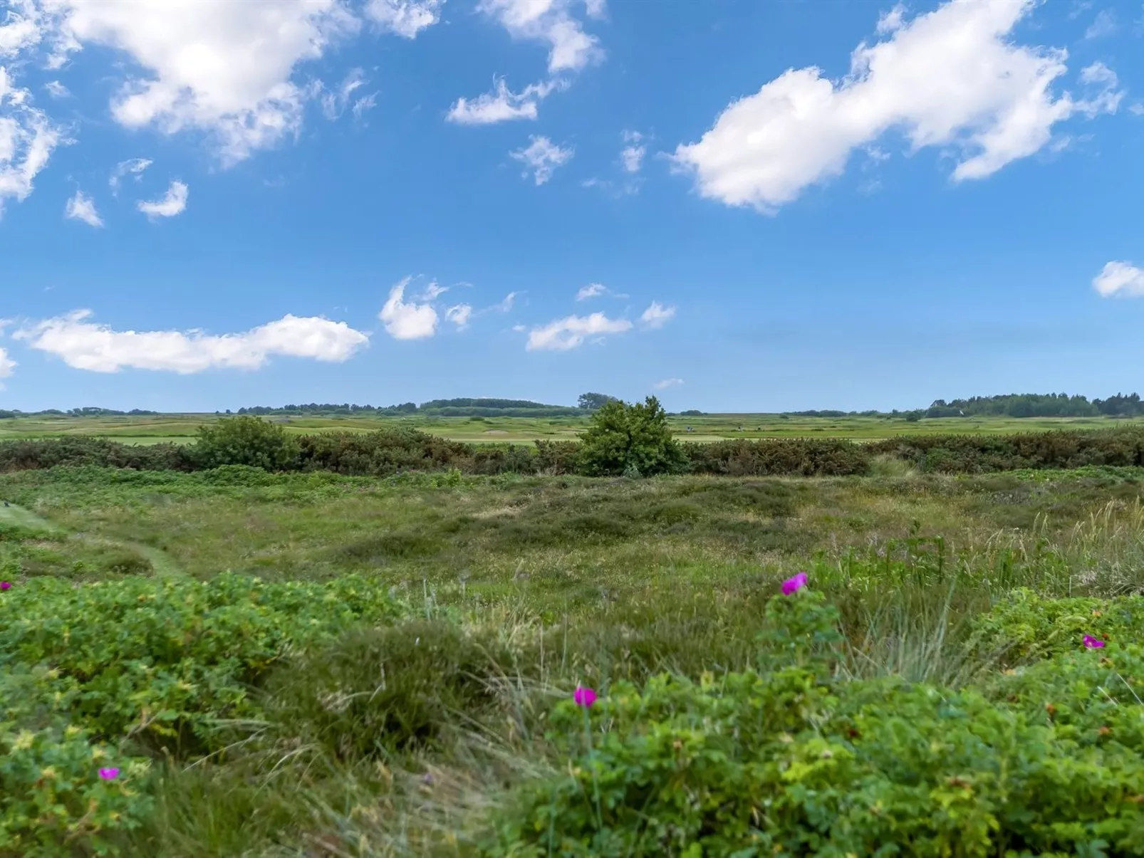 "Reija" - 2.3km from the sea