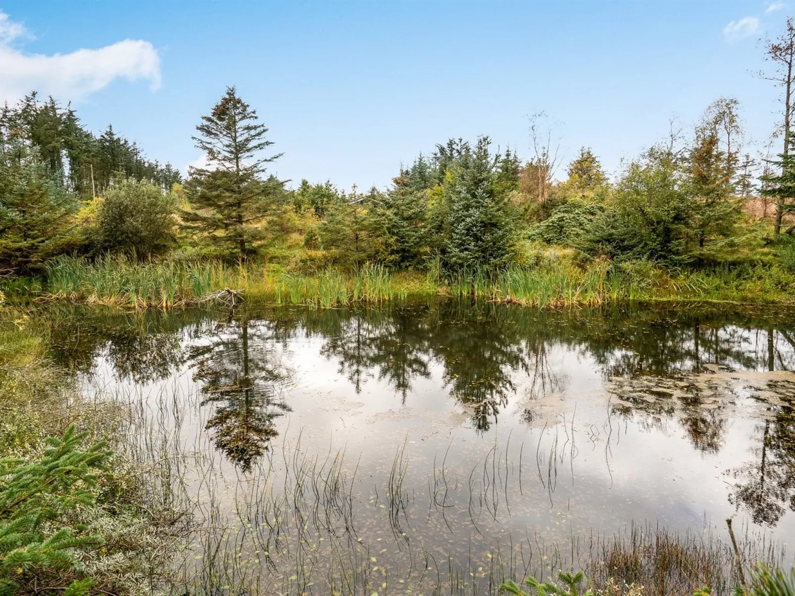 "Hereth" - 700m from the sea