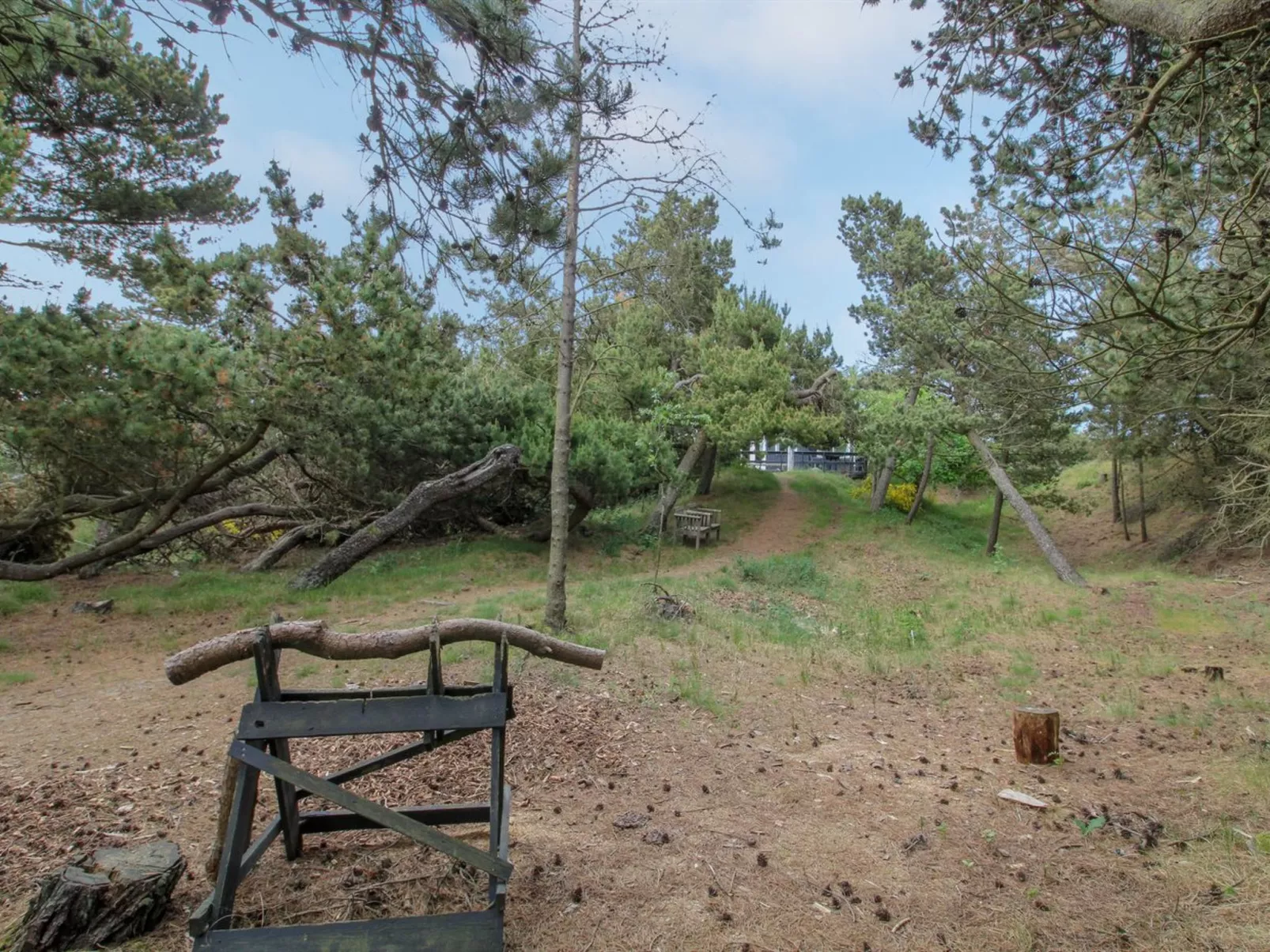 "Kanutte" - 400m from the sea