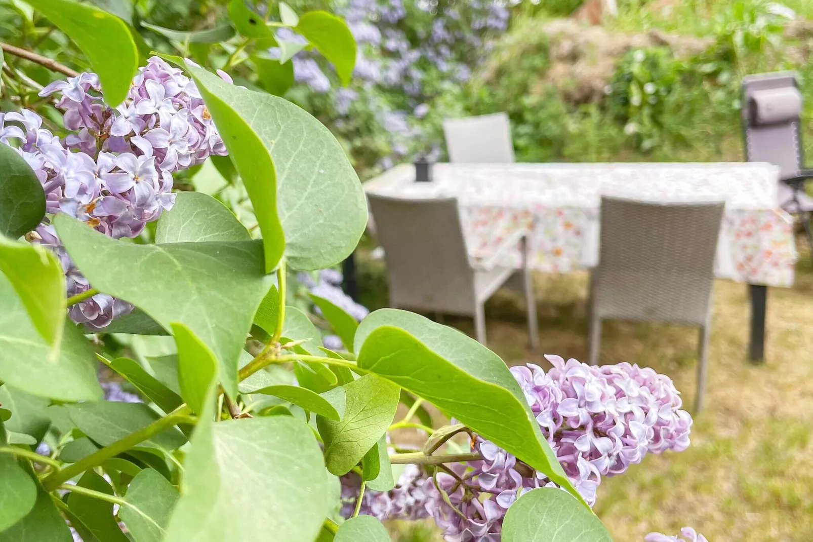 4 persoons vakantie huis in FURUBY-Buitenlucht